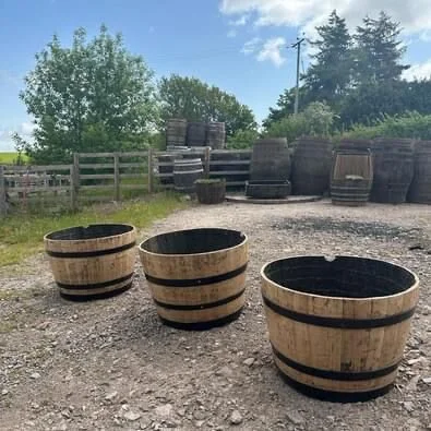 F33B2F22-D4E5-4BBE-81D3-B4B946426E9D