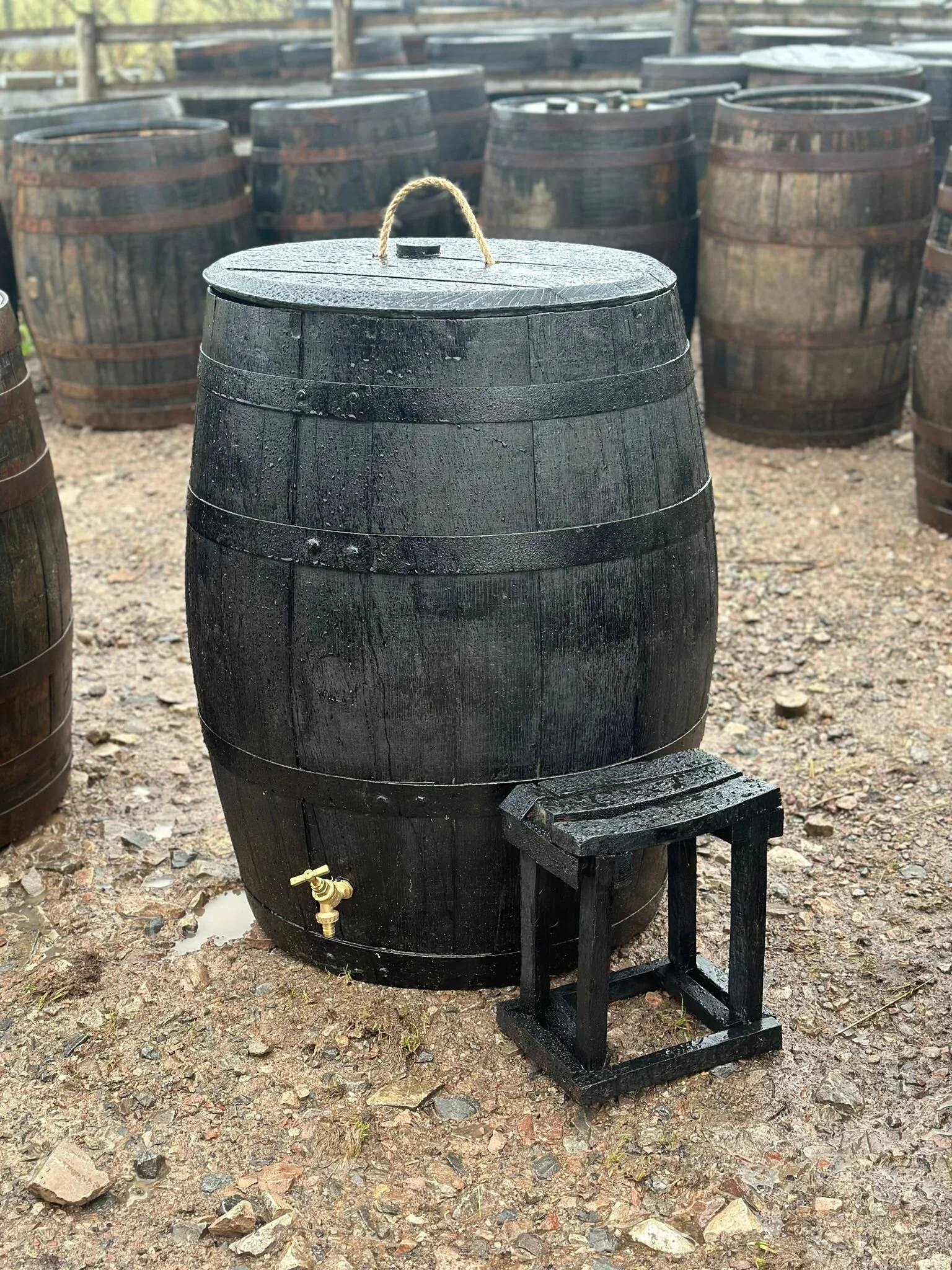 250/300 Ltr Black Edition Cold Plunge/Ice Bath
