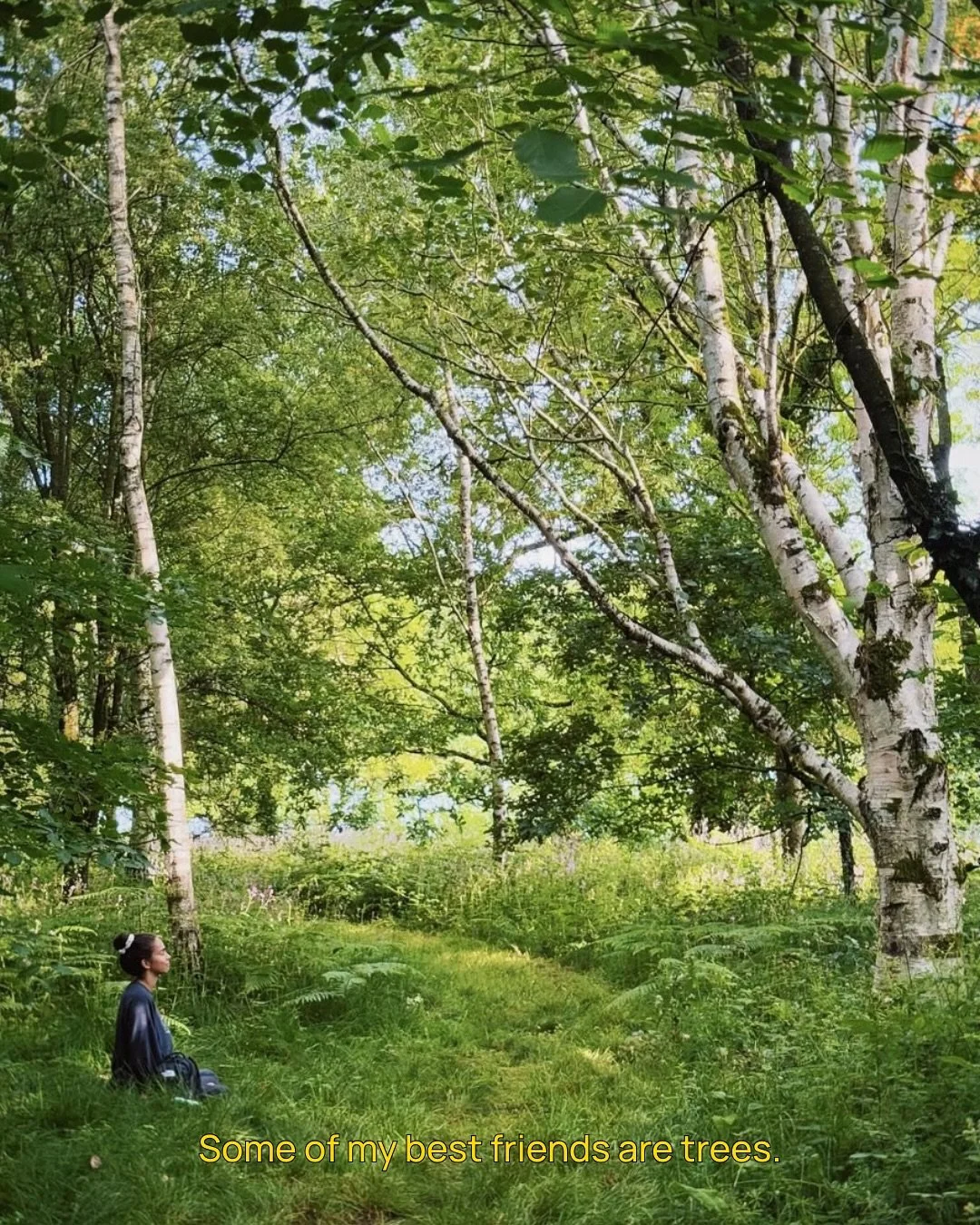 When I tell people about &ldquo;tree diets&rdquo; I consistently see ears perk up, heads turn to the side, the same intrigued look and the question &ldquo;what&rsquo;s that?!&rdquo;

It&rsquo;s something hard to describe, but I&rsquo;ve gotten better