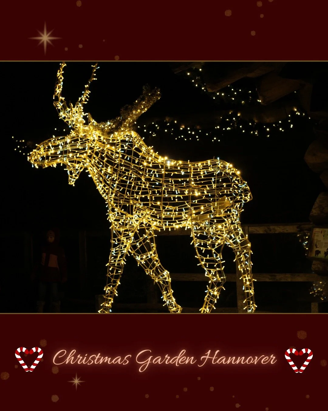 Wow, time's passed so quickly with the holidays keeping me busy 😮
But now I've finally got a moment to post these lovely pictures from the Christmas Garden in Hanover. The team from @christmasgarden_official has done an amazing job creating a beauti