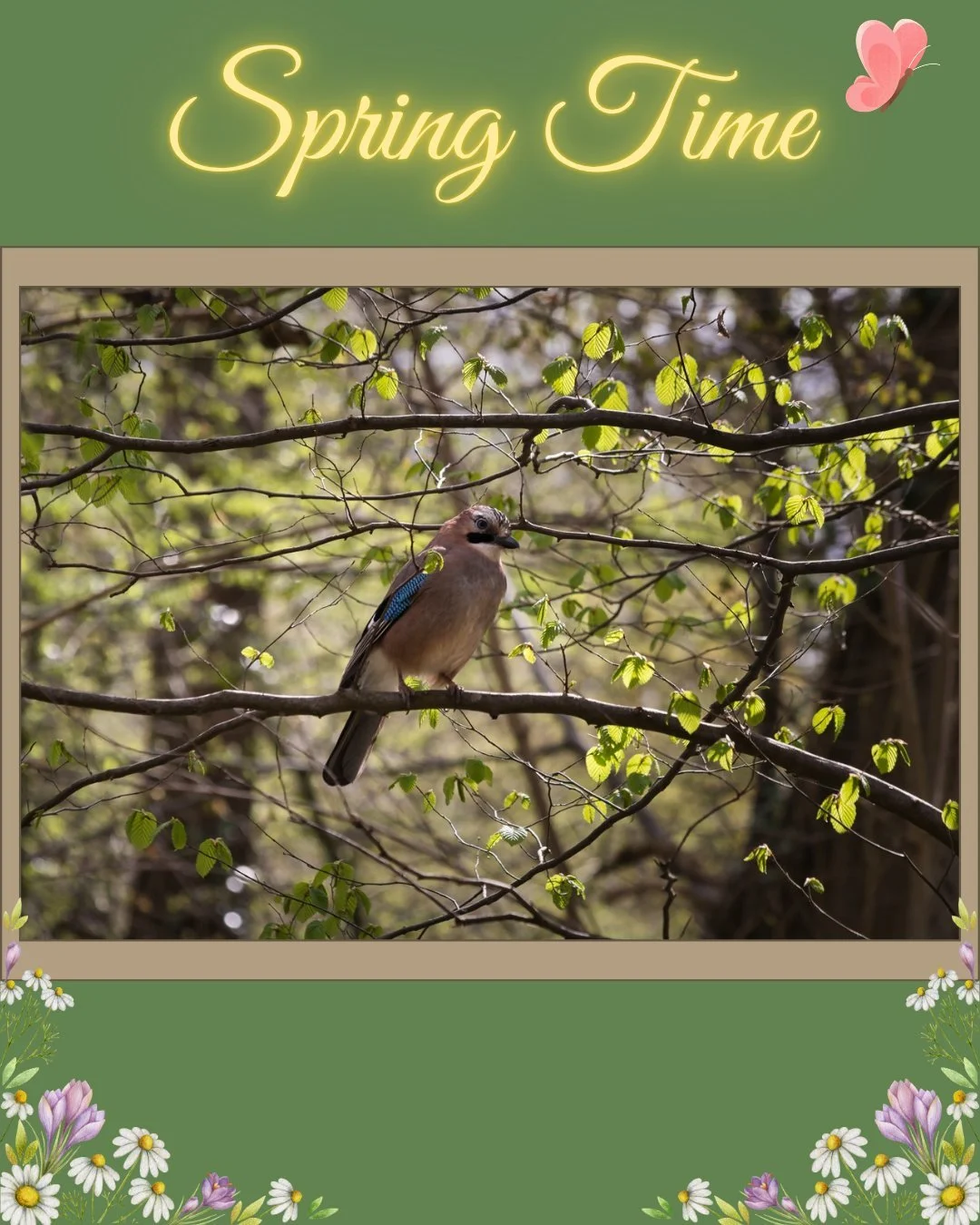 Hello!
I hope you can all enjoy the spring (if it's spring where you are right now^^)!
I'm quite busy at the moment, like the busy 🐝on slide three, but I managed to go for a short walk a few days ago to soak up some sun and enjoy nature coming to li