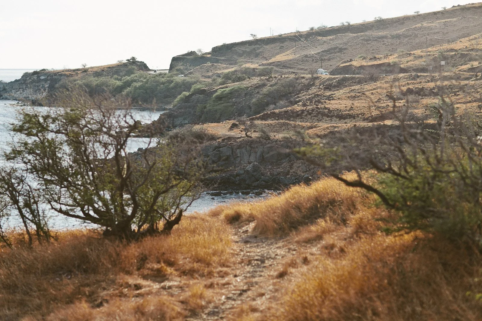 rr_mauihawaii-32.jpg