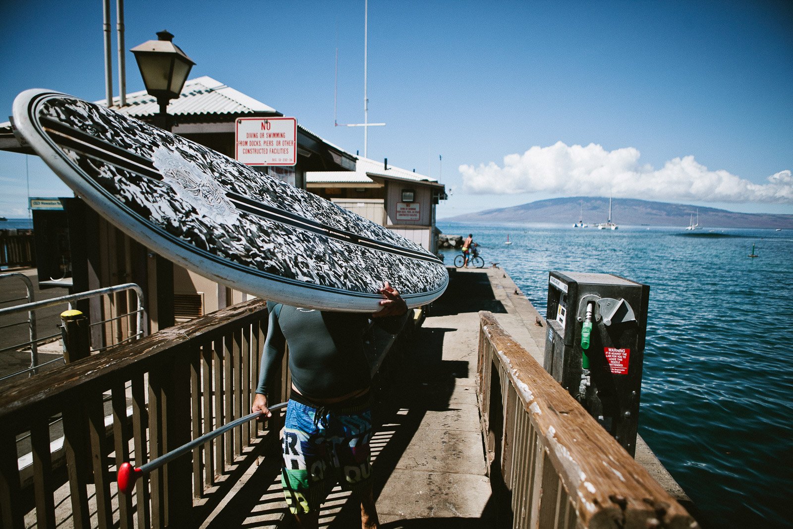 rr_mauihawaii-77.jpg