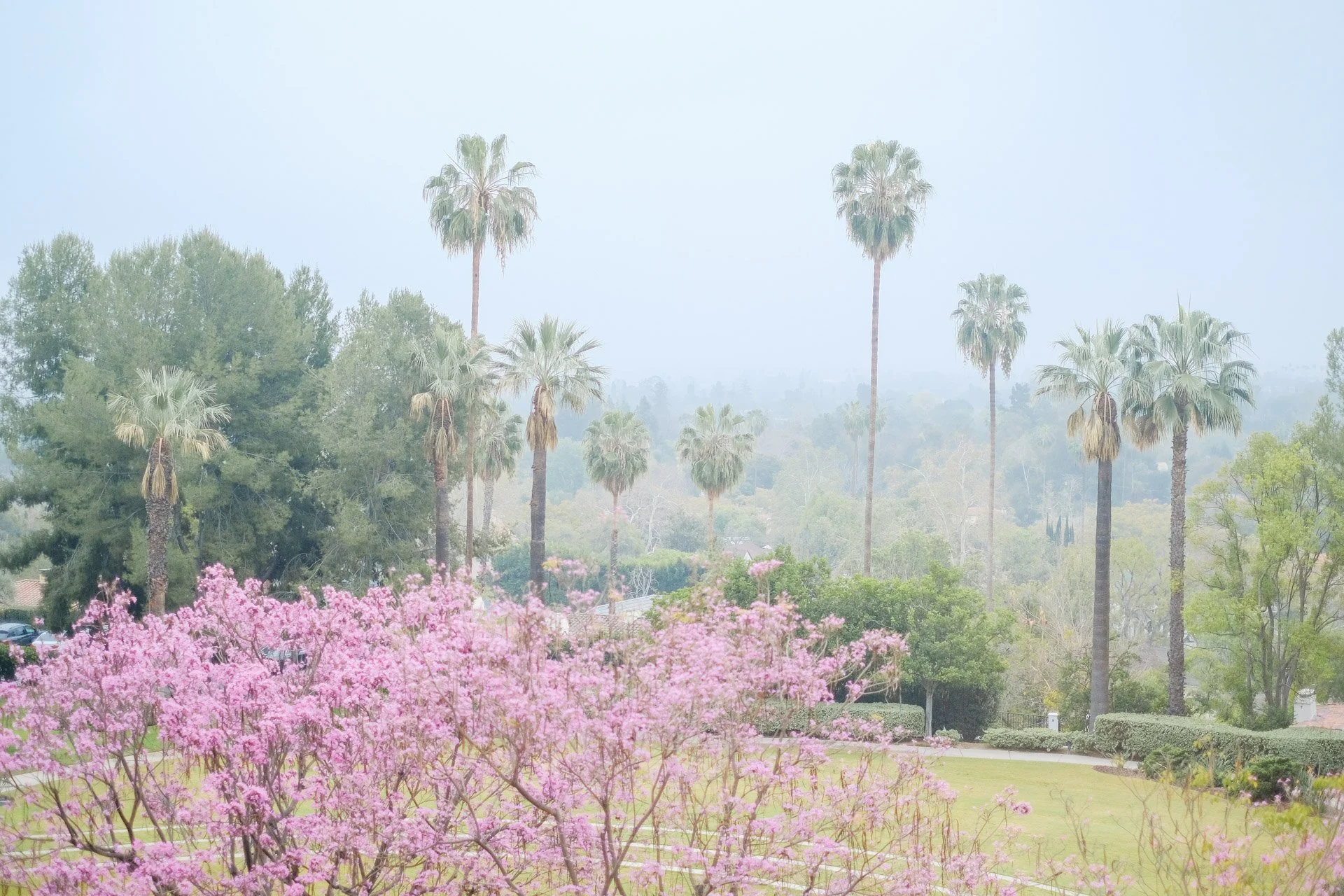 gc_cali-19.jpg