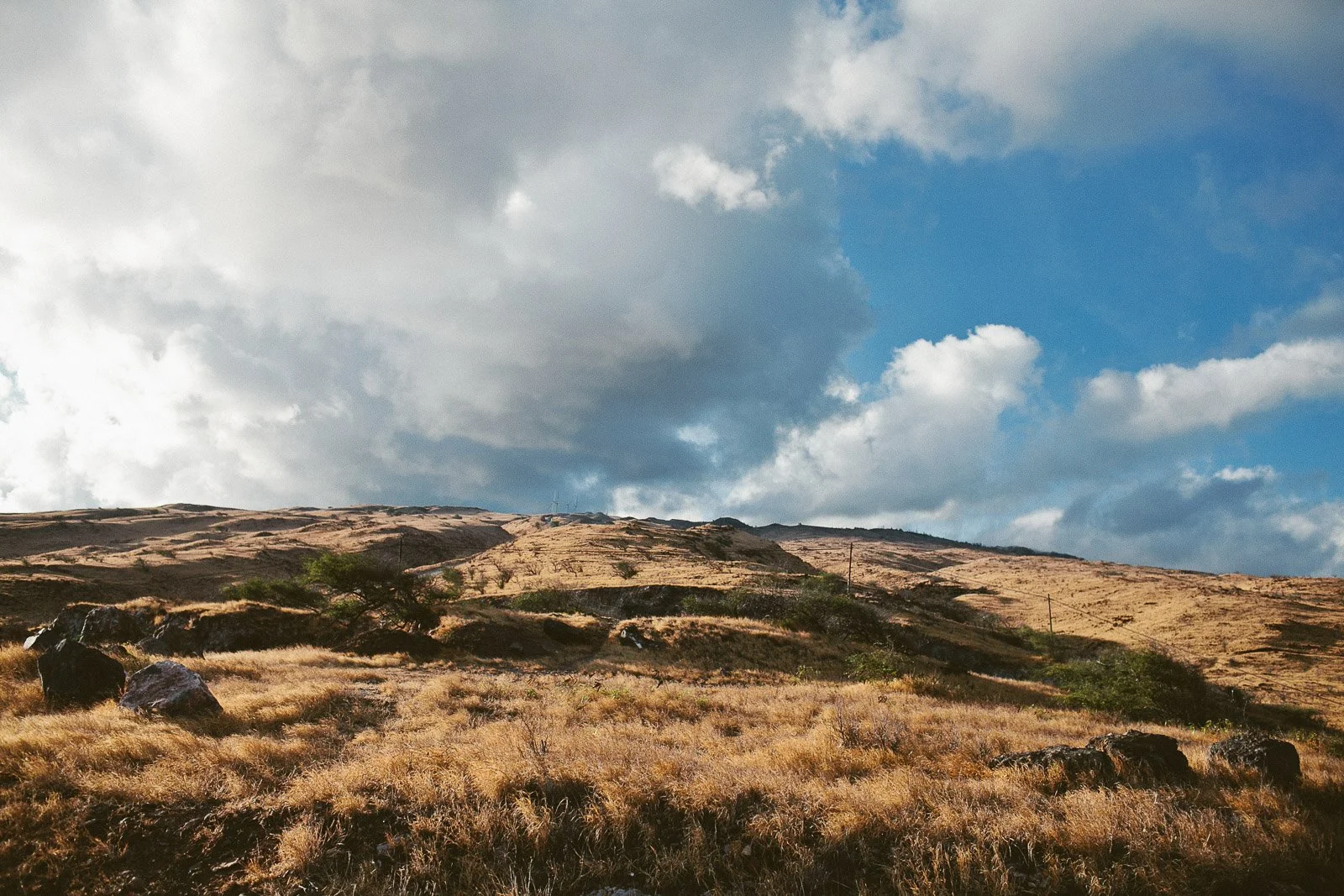 rr_mauihawaii-30.jpg