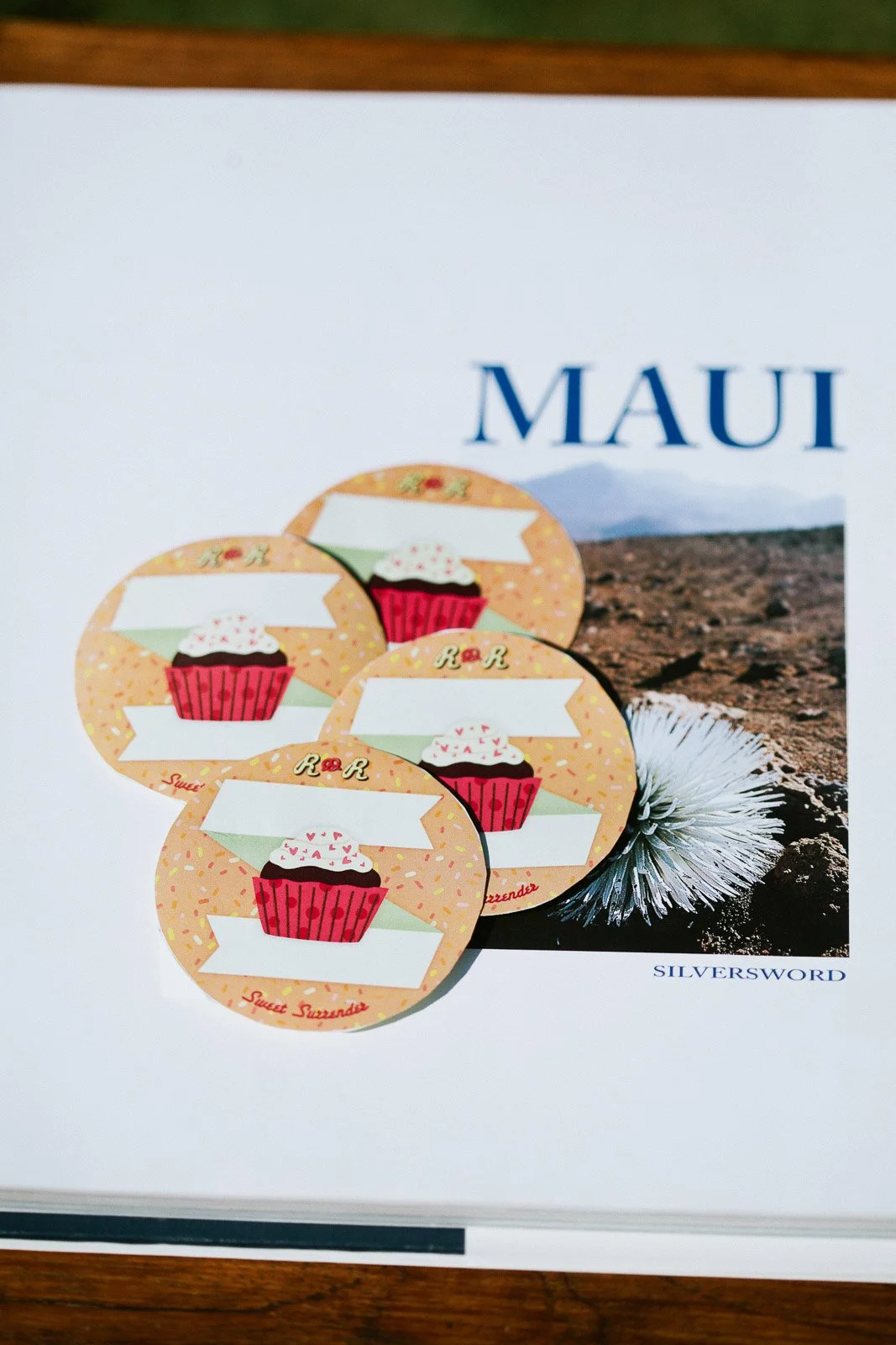 rr_mauihawaii-85.jpg