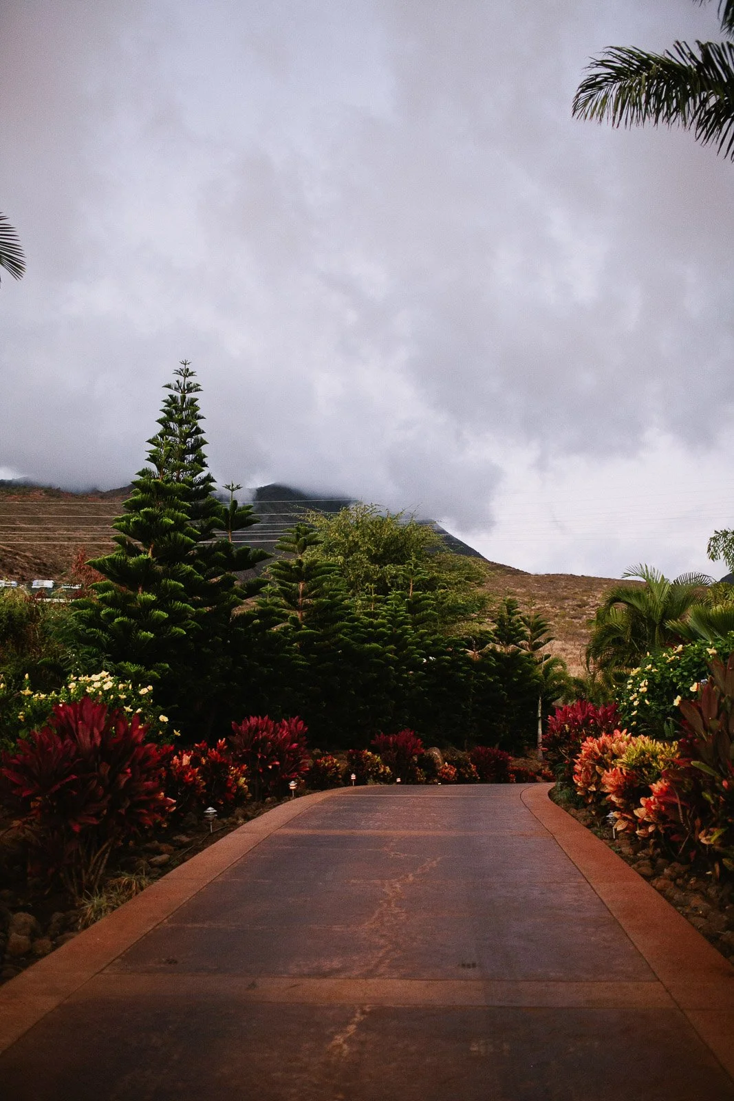 rr_mauihawaii-175.jpg