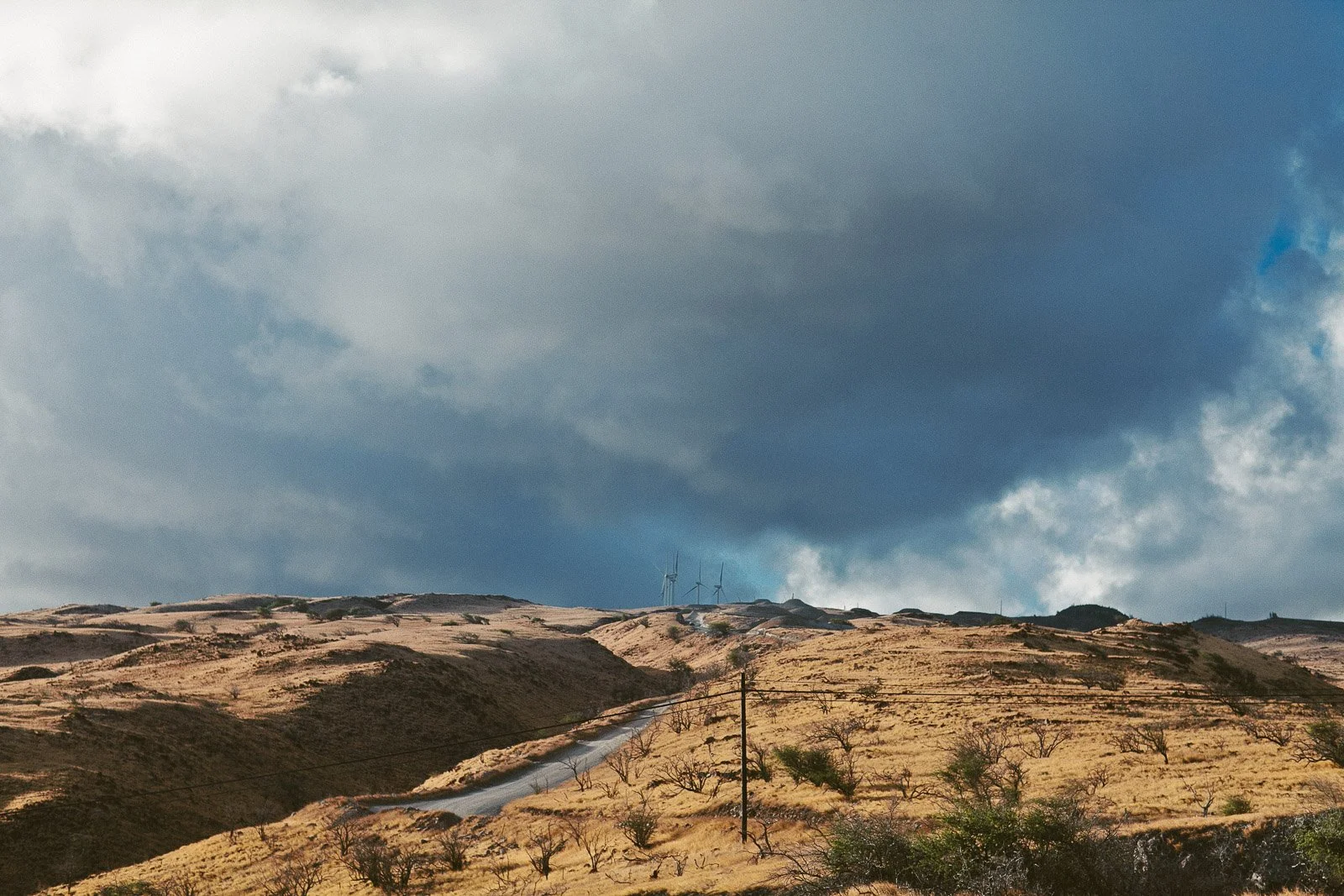 rr_mauihawaii-33.jpg