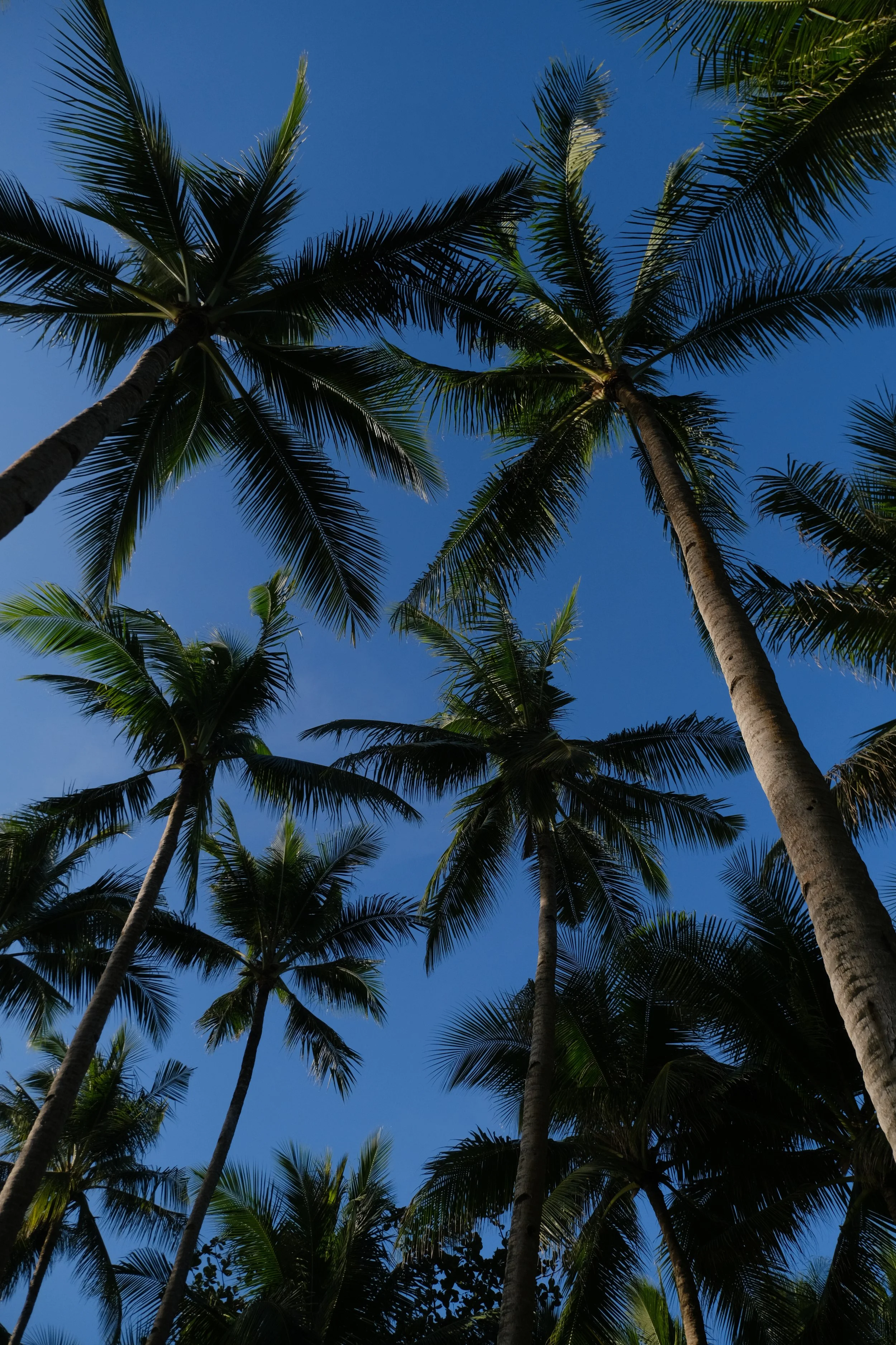 pkeditedboracay-1.jpg