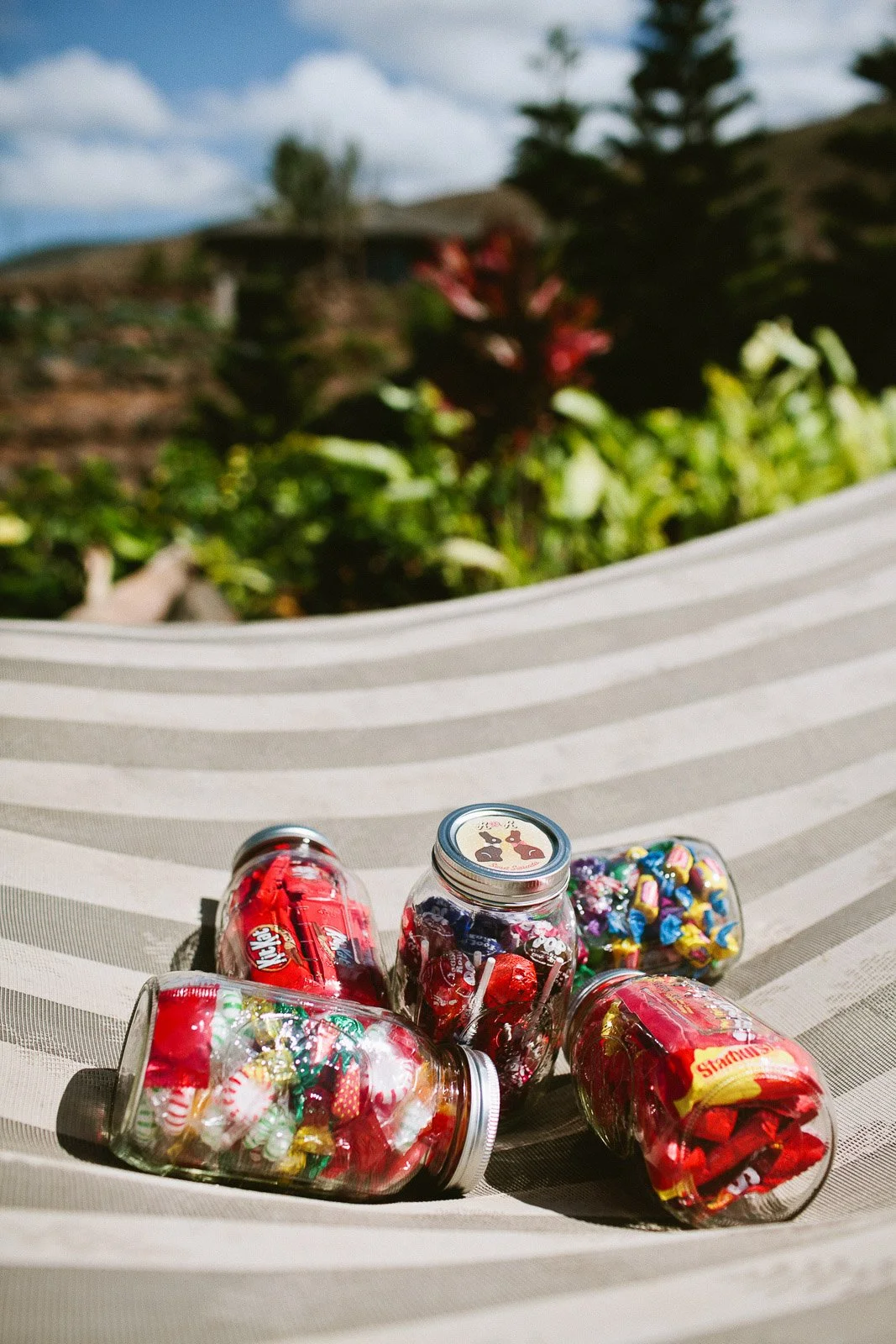 rr_mauihawaii-90.jpg