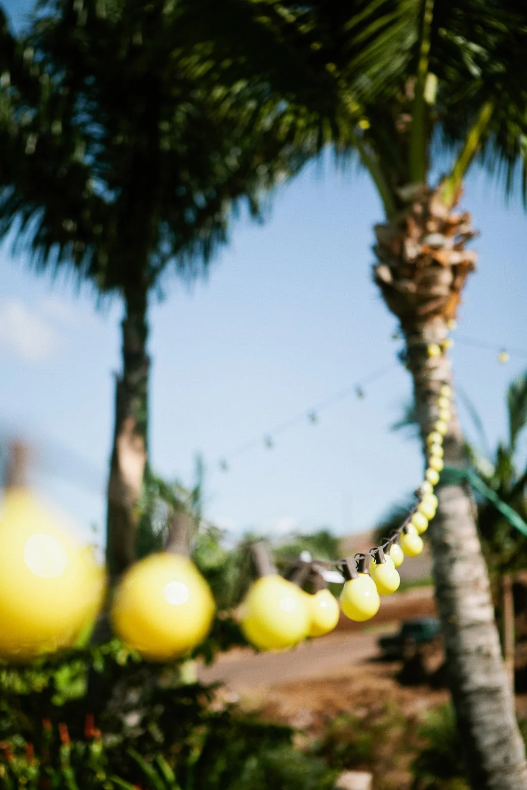 rr_mauihawaii-83.jpg