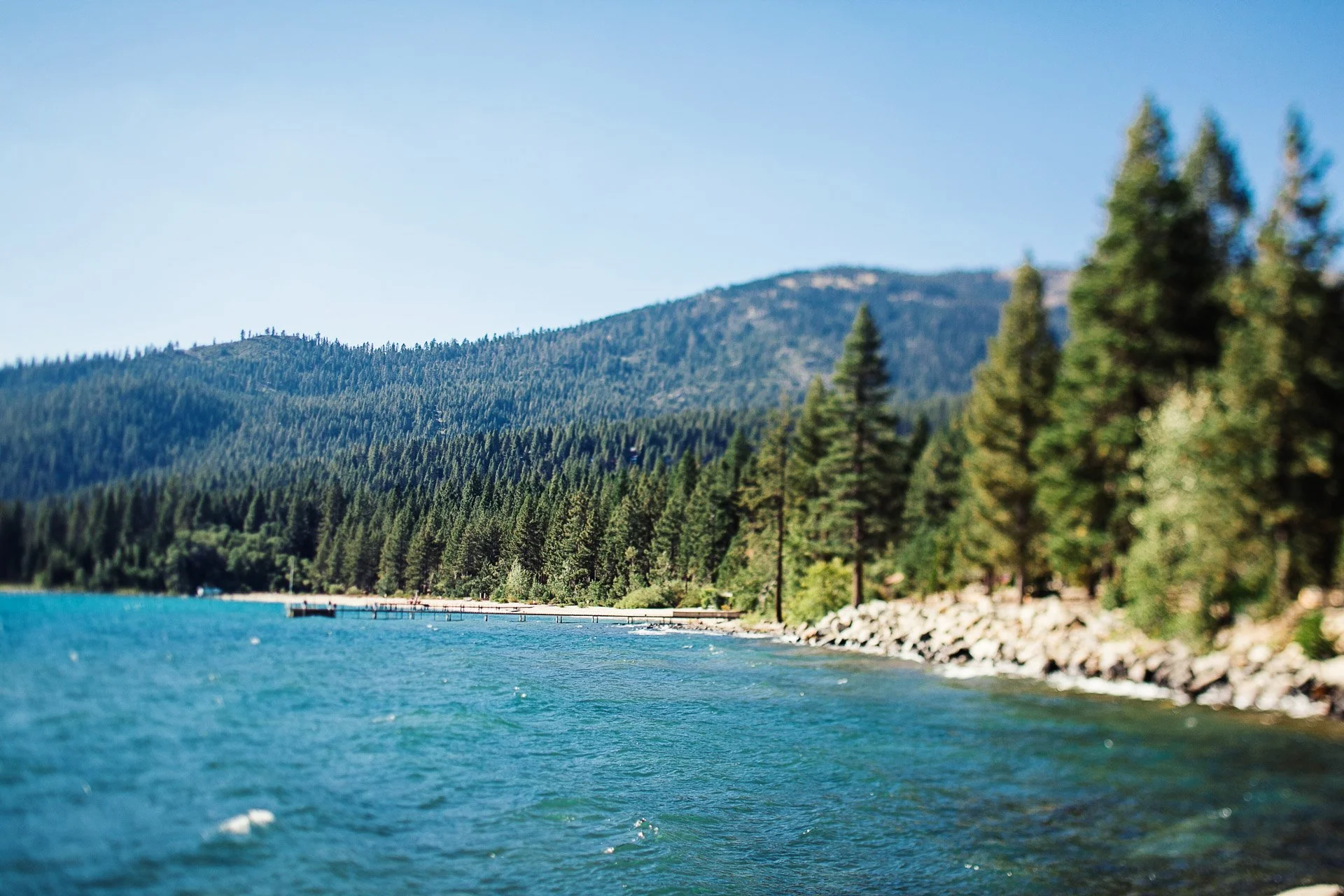dd_laketahoe-107.jpg
