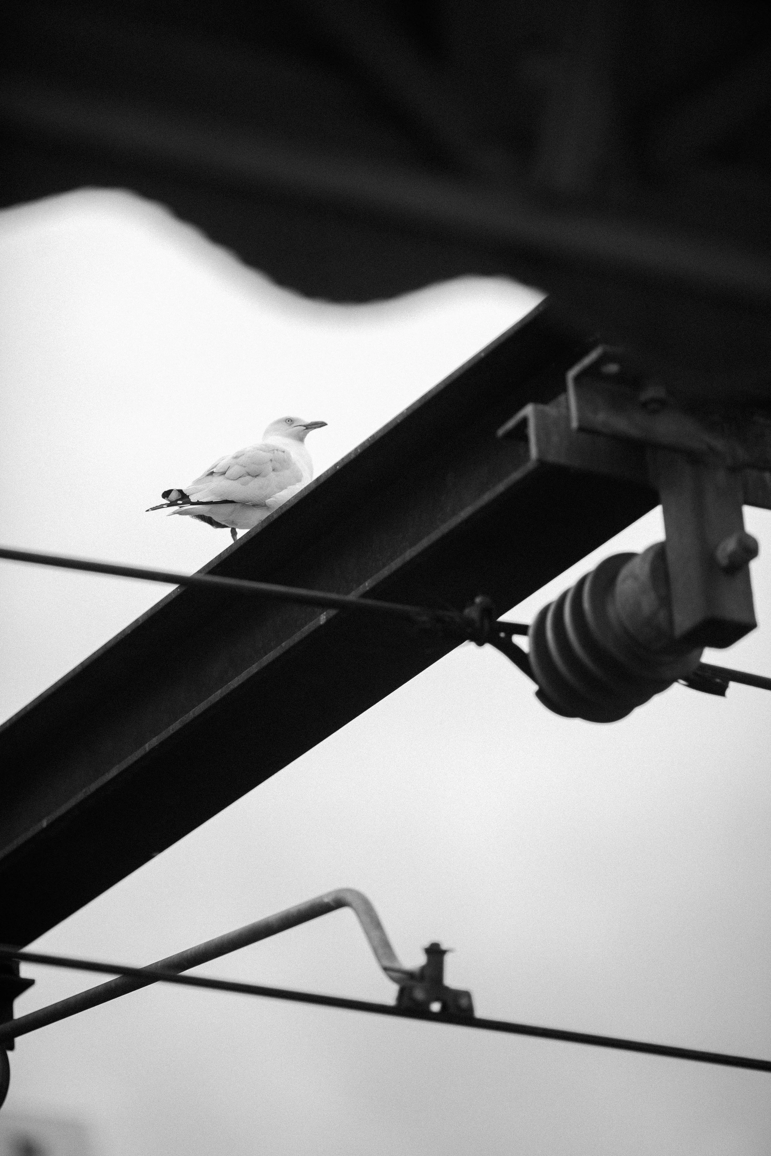 nr_melbourne-39.jpg