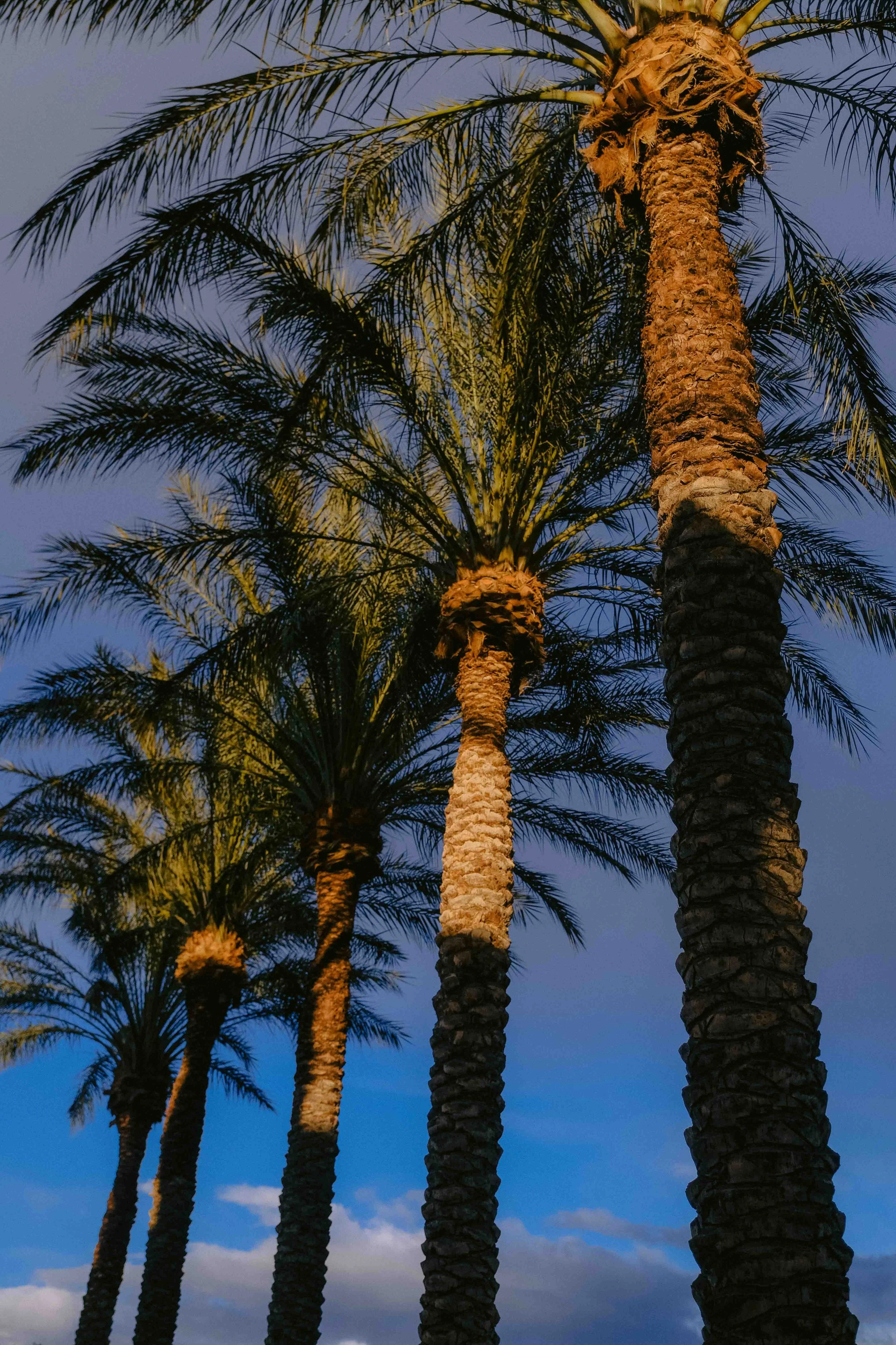 lasvegas-49.jpg