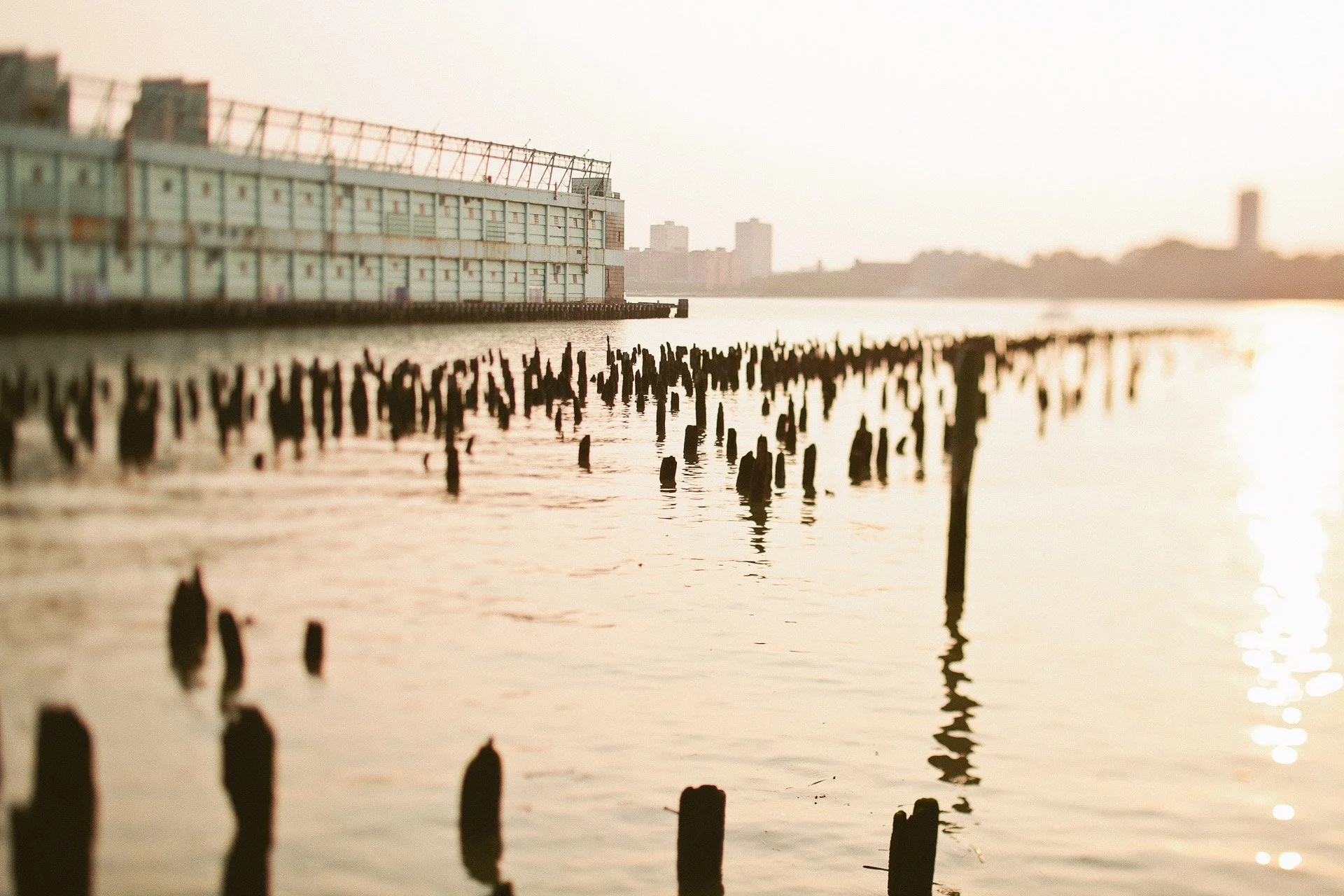 gr_nyc-37.jpg