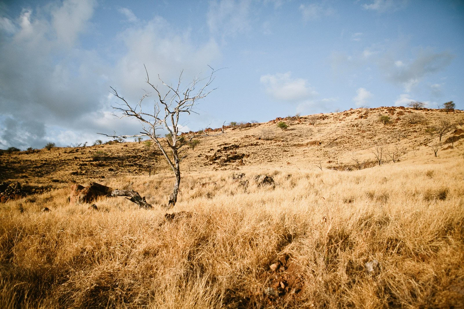 rr_mauihawaii-161.jpg