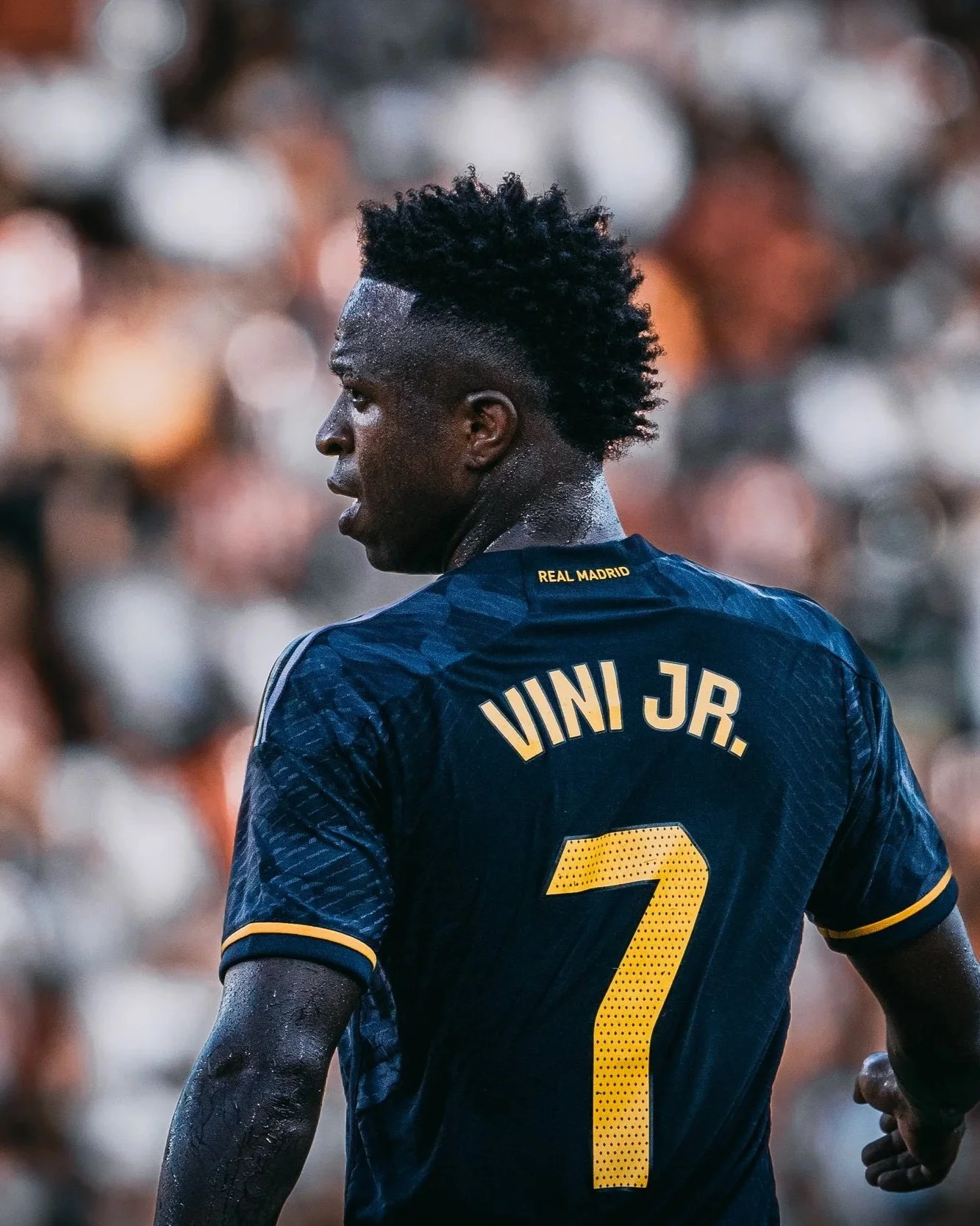 vini-1.jpg