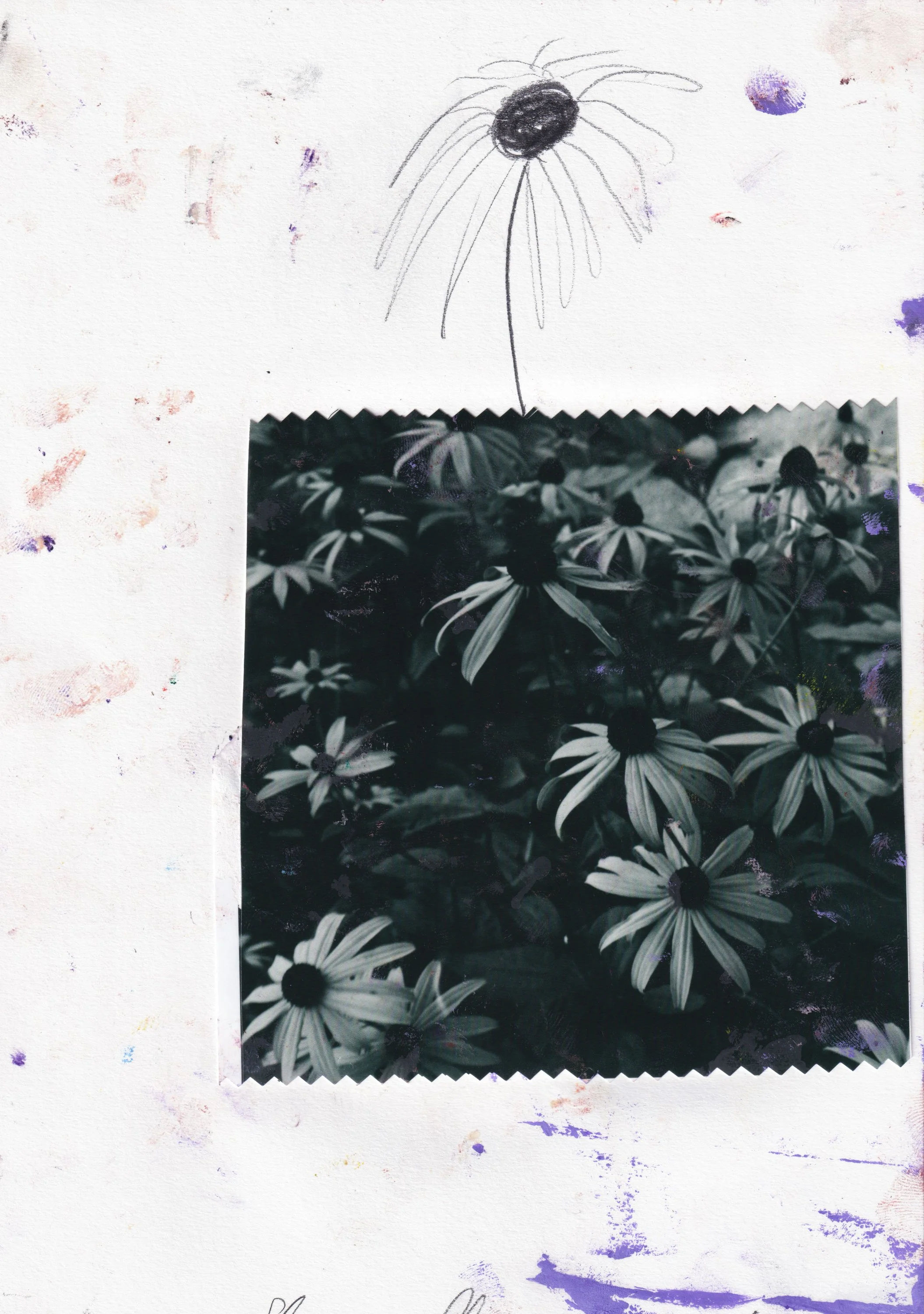 (Untitled) Floral scene
Oil, pencil and collage on paper
21 x 29.7 cm / 8.3 x 11.7 ins
2025