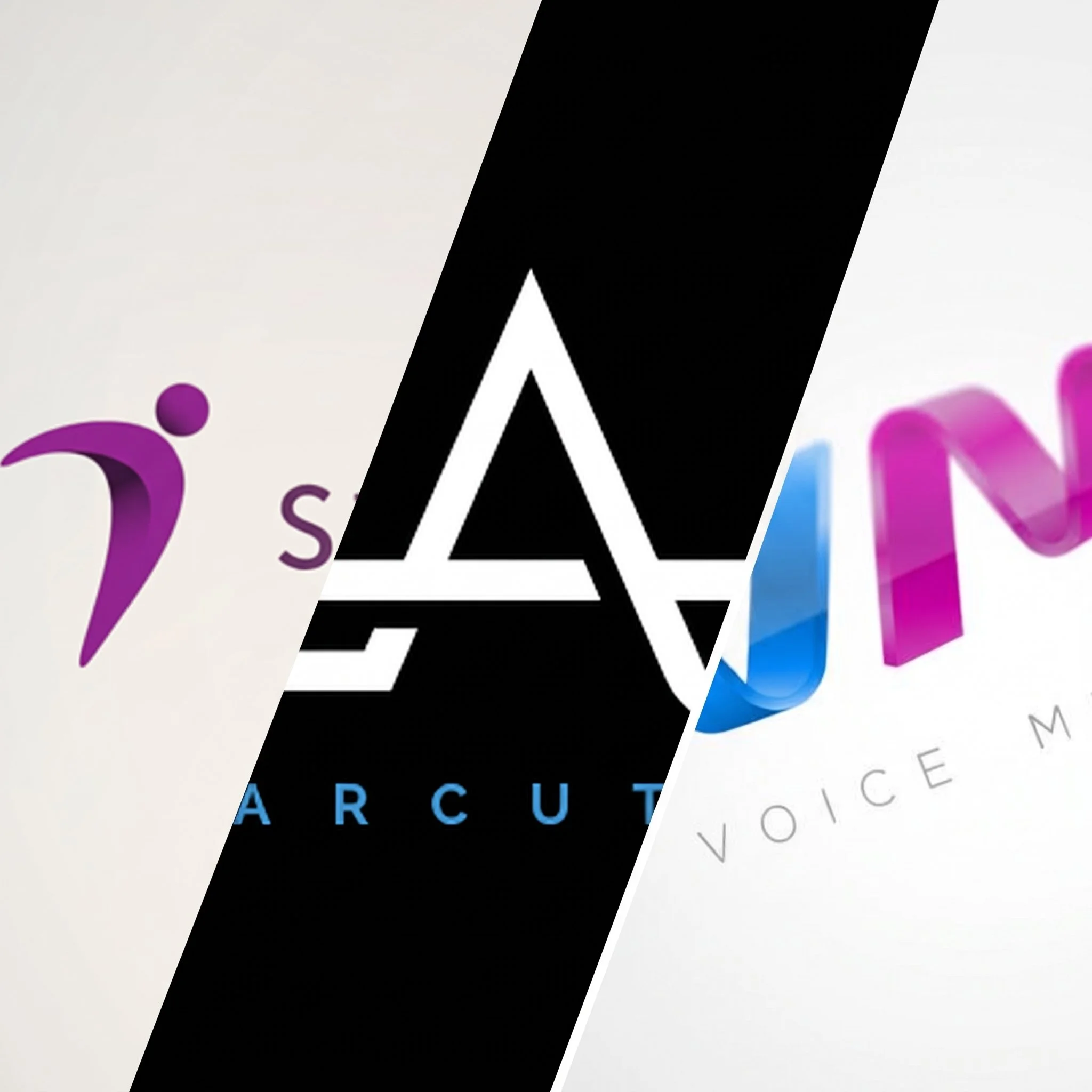 Logos & Branding examples