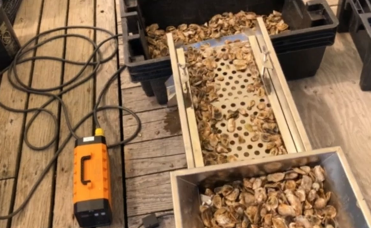 A beekeeping hive frame filled with bees and honeycomb, placed inside a wooden hive box on a wooden surface.