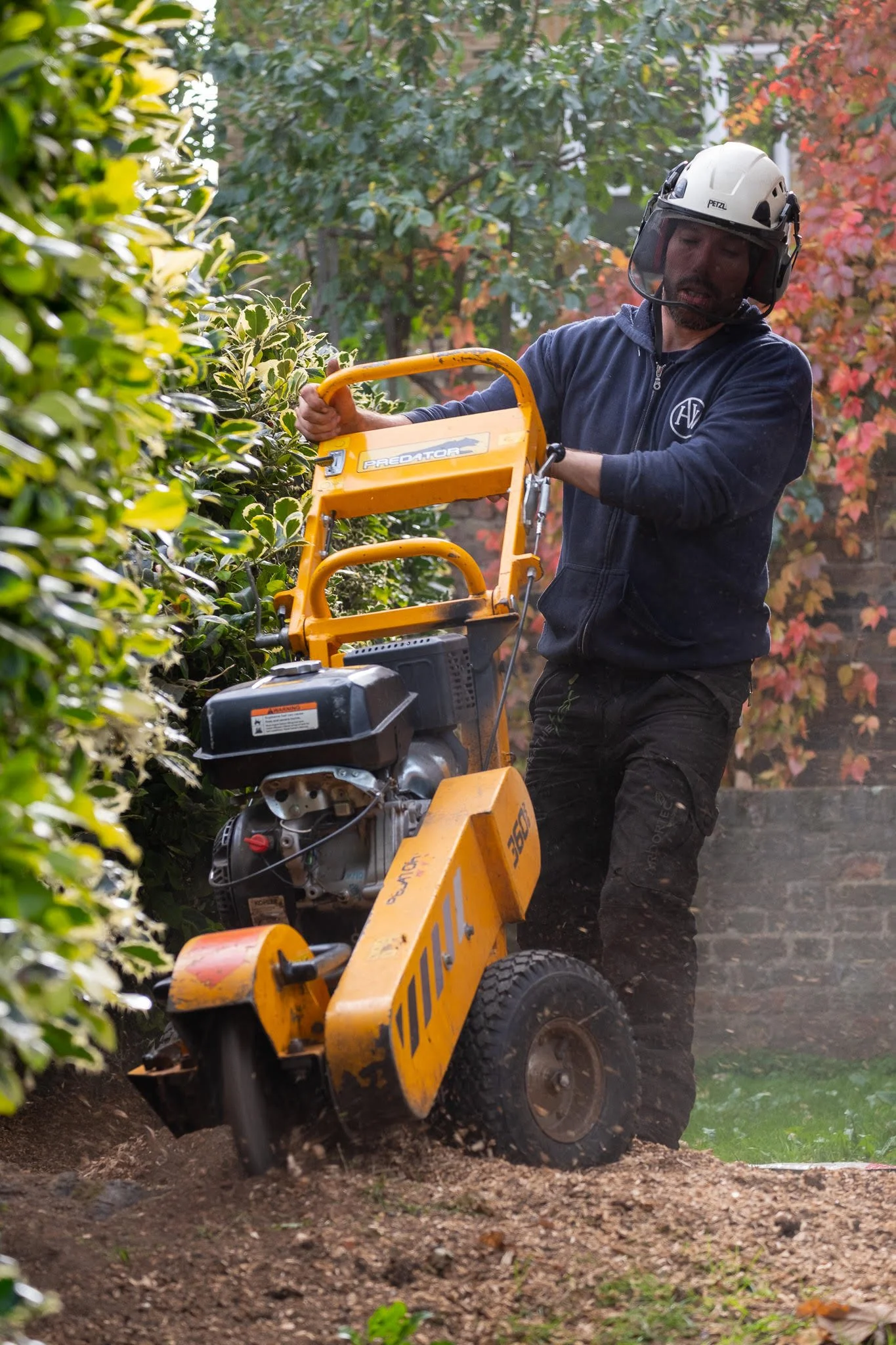 Thinking of Removing a Tree? Why Stump Grinding is the Final Essential Step