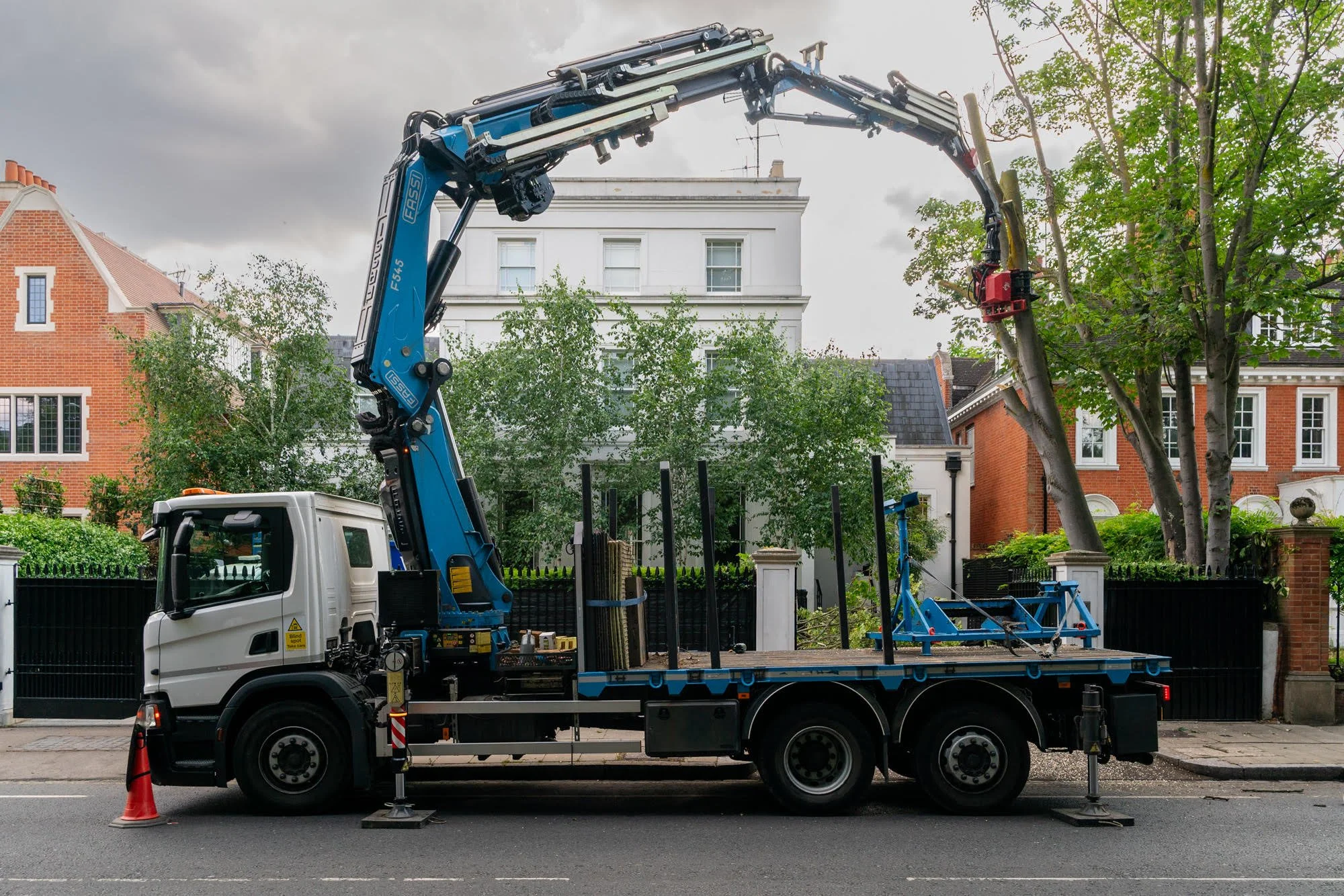 Caring for Mature Trees in Chelsea, Kensington and Westminster