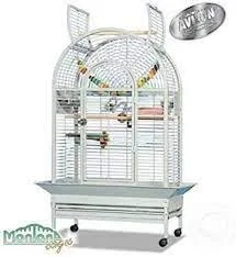 Gabbia Montana New Jersey