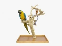 Java tree da tavolo L