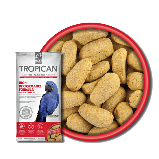 Tropican High performance formula -  Biscuit