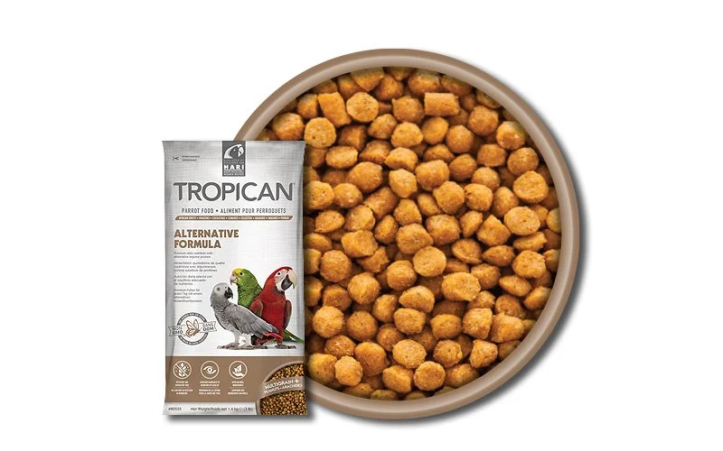 Hari Tropican - Alternative Formula