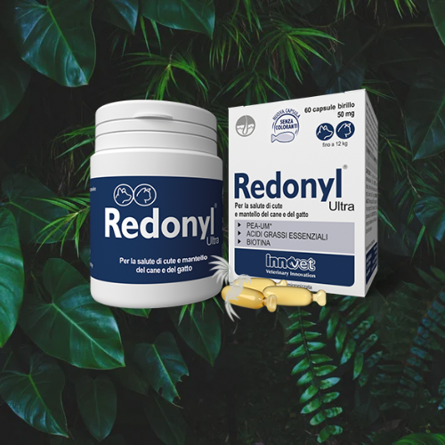 Redonyl Ultra 50 mg