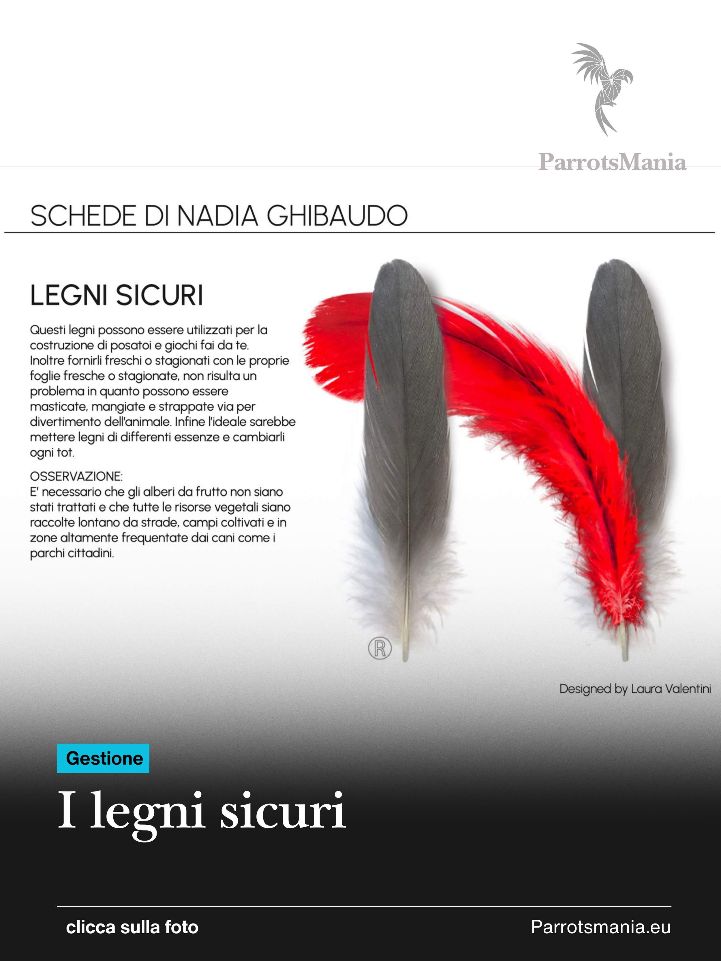 Legni, bacche, erbe…