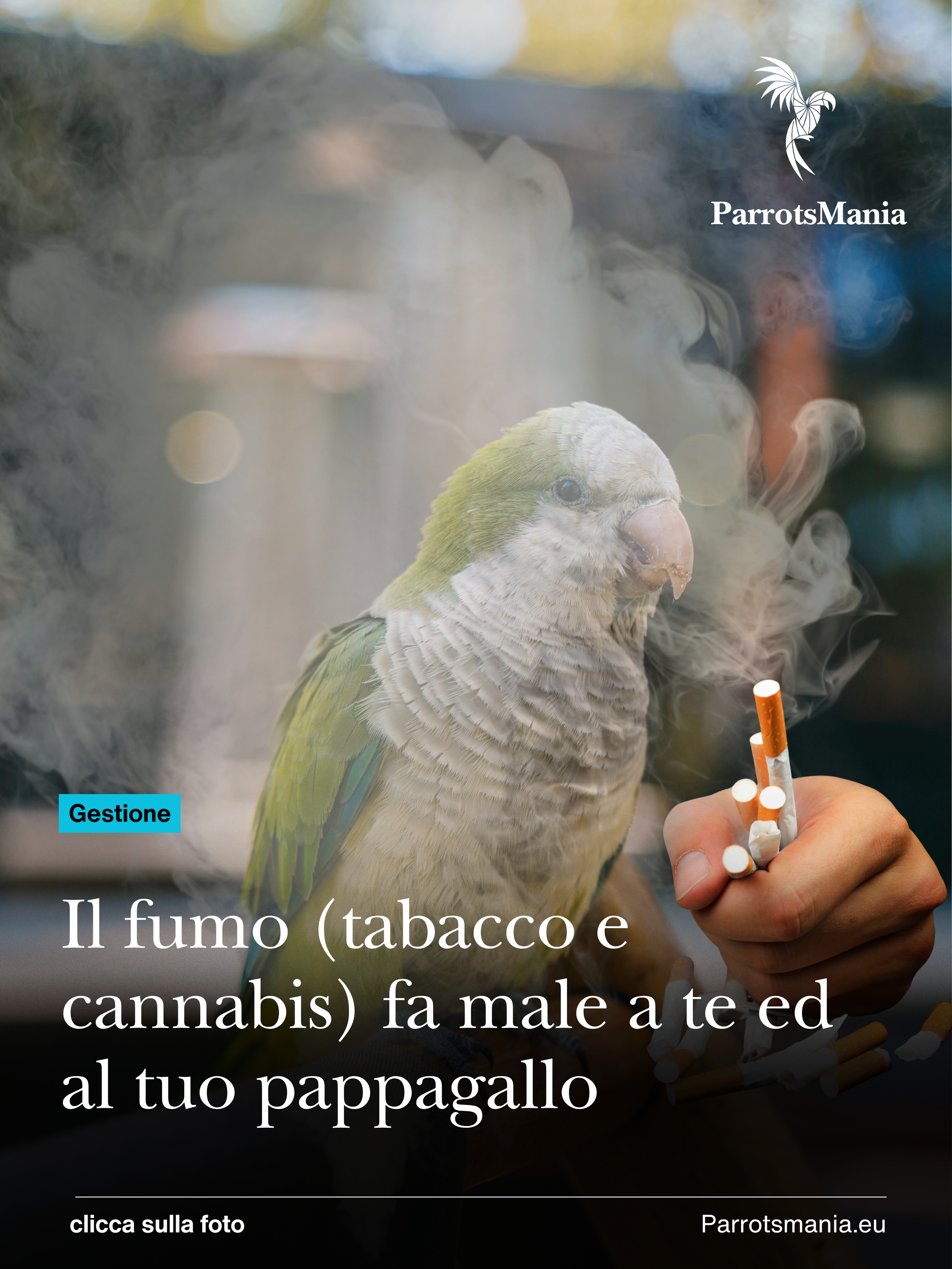 Tabacco e Cannabis fanno male a te e al tuo pappagallo