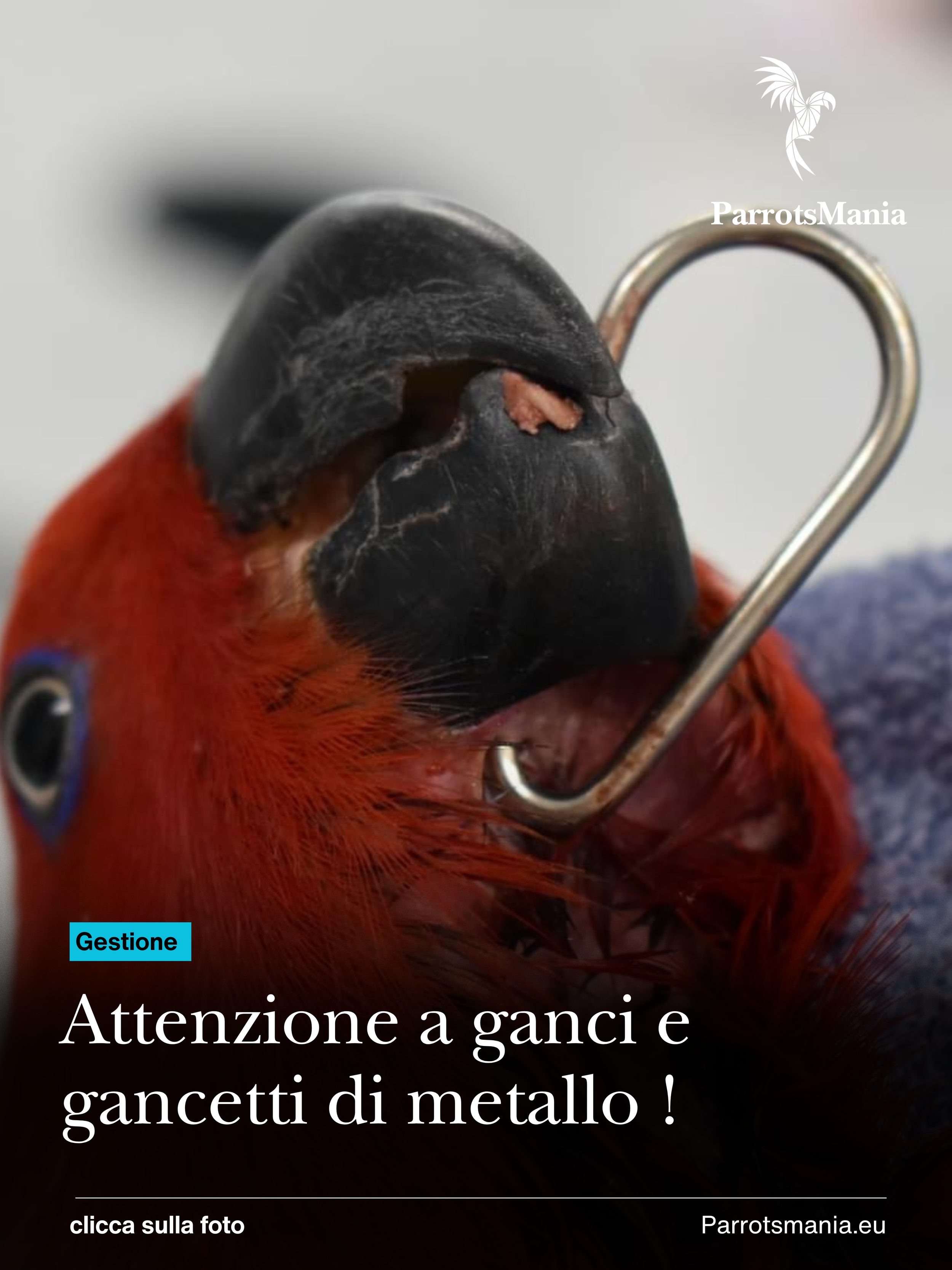 Attenzione a catene e gancetti
