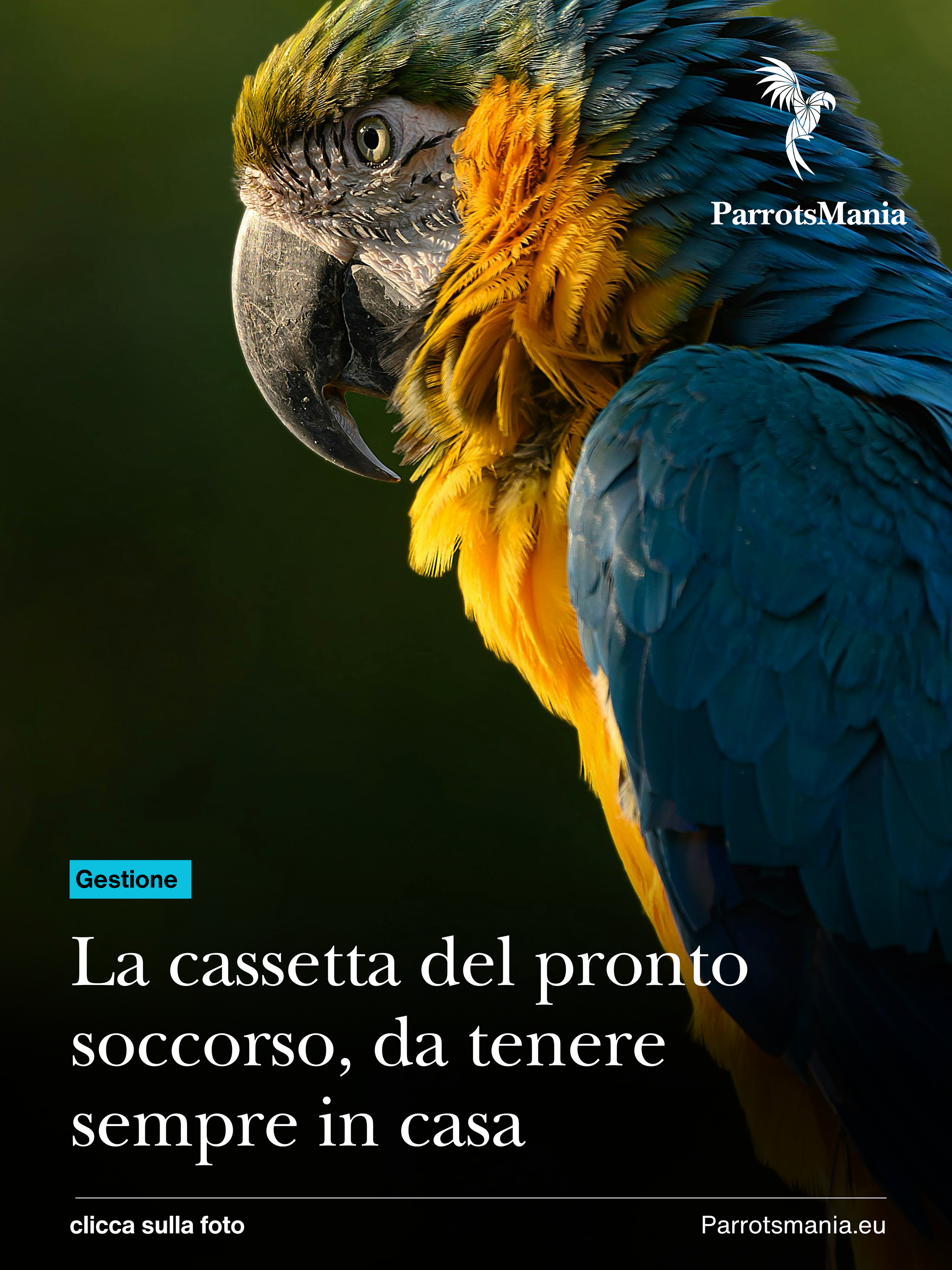 Cosa dovresti avere nella tua valigetta di primo soccorso