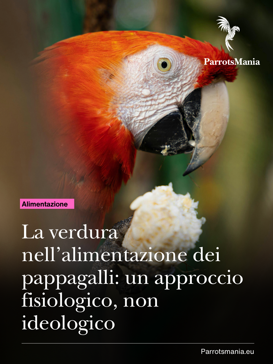 La verdura nell’alimentazione dei pappagalli: un approccio fisiologico, non ideologico