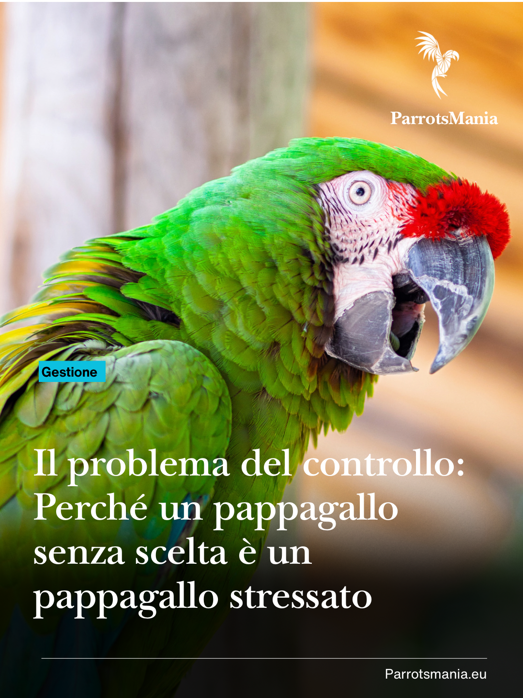 Il problema del controllo: Perché un pappagallo senza scelta è un pappagallo stressato