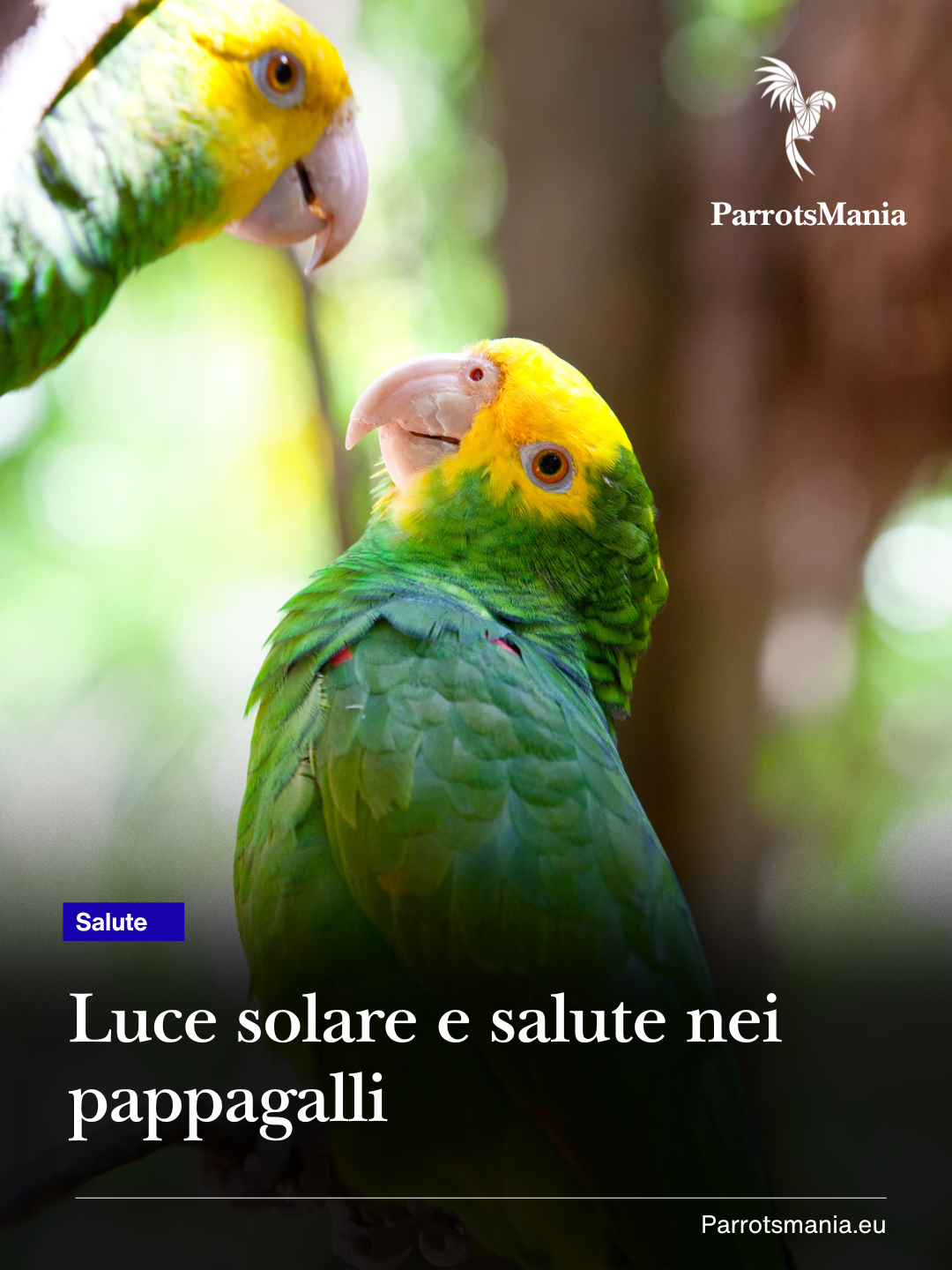 Luce solare e salute nei pappagalli