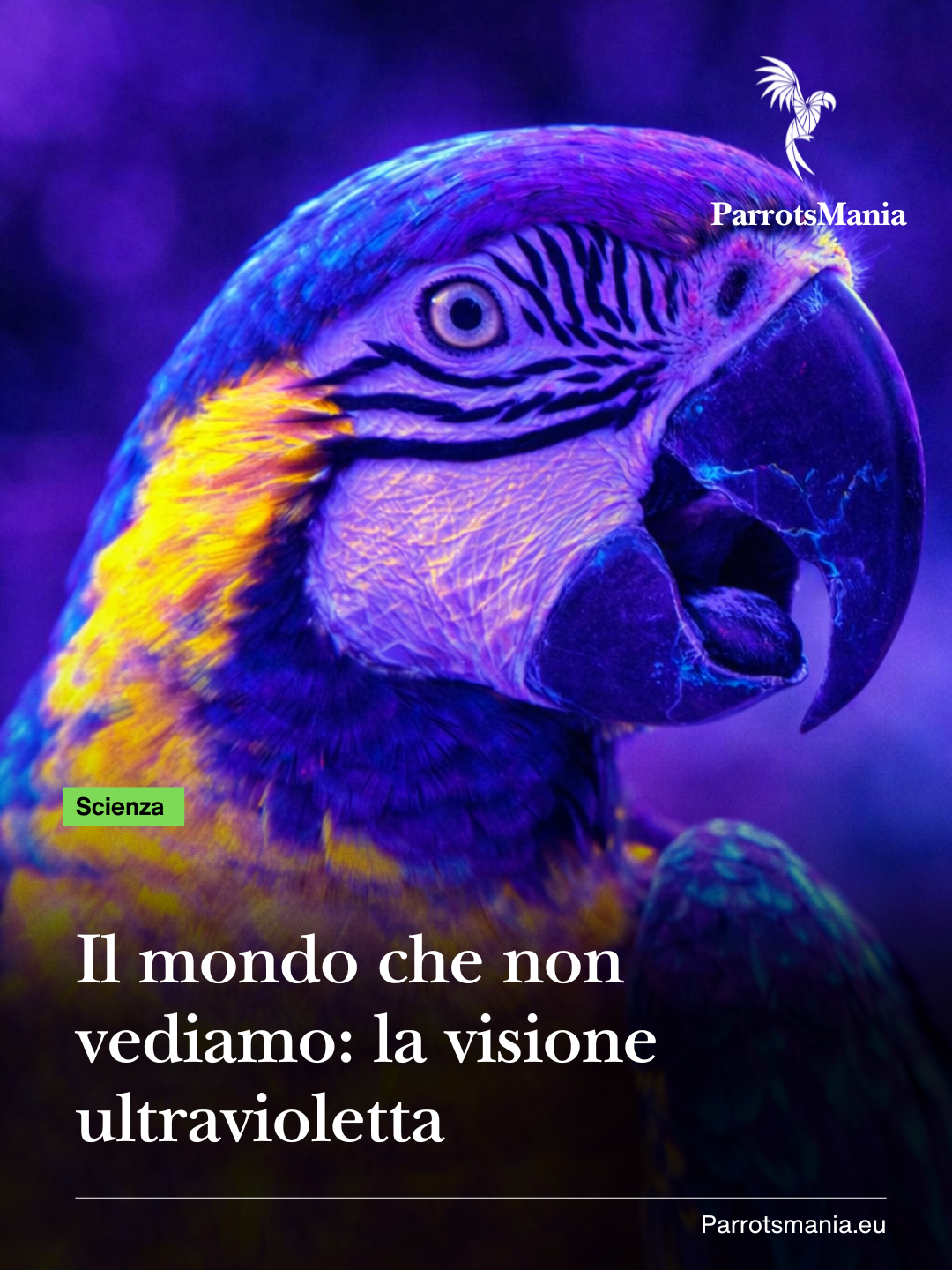 Il mondo che non vediamo: la visione ultravioletta