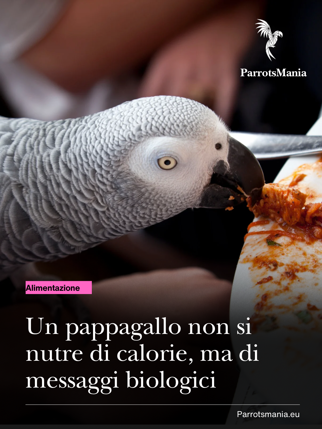 Un pappagallo non si nutre di calorie, ma di messaggi biologici