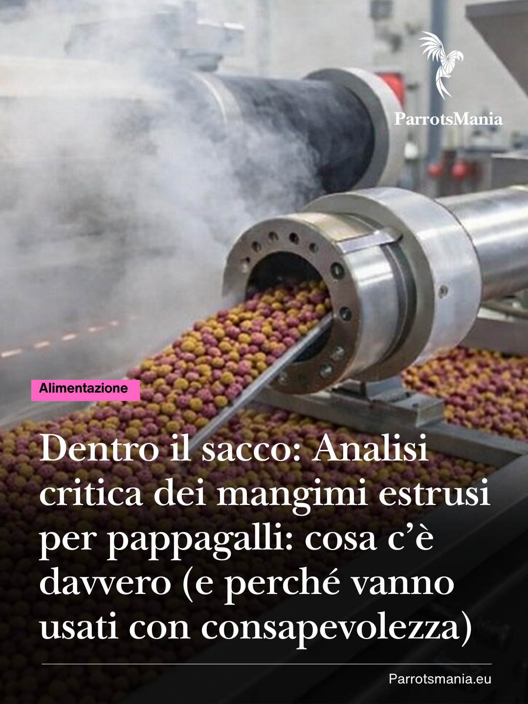 Dentro il sacco: Analisi critica dei mangimi estrusi per pappagalli, cosa c’è davvero (e perché il modello va usato con consapevolezza)