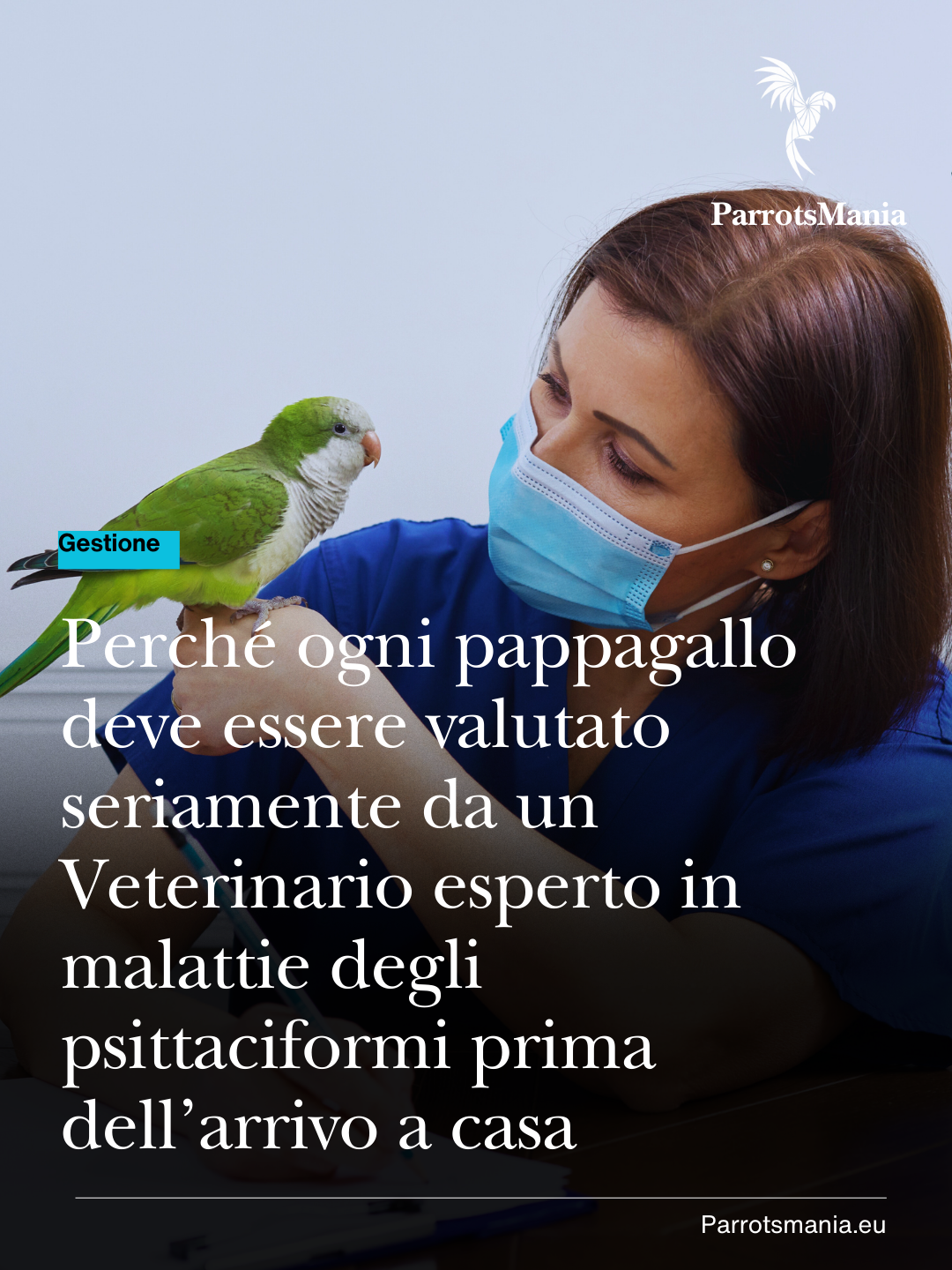 Perché ogni pappagallo deve essere valutato seriamente da un Veterinario esperto in malattie degli psittaciformi  prima dell’arrivo a casa