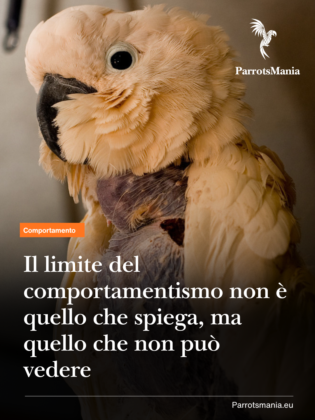 Il limite storico del Comportamentismo non è ciò che spiega, ma ciò che non può vedere. Il Rinforzo positivo spiegato bene. 