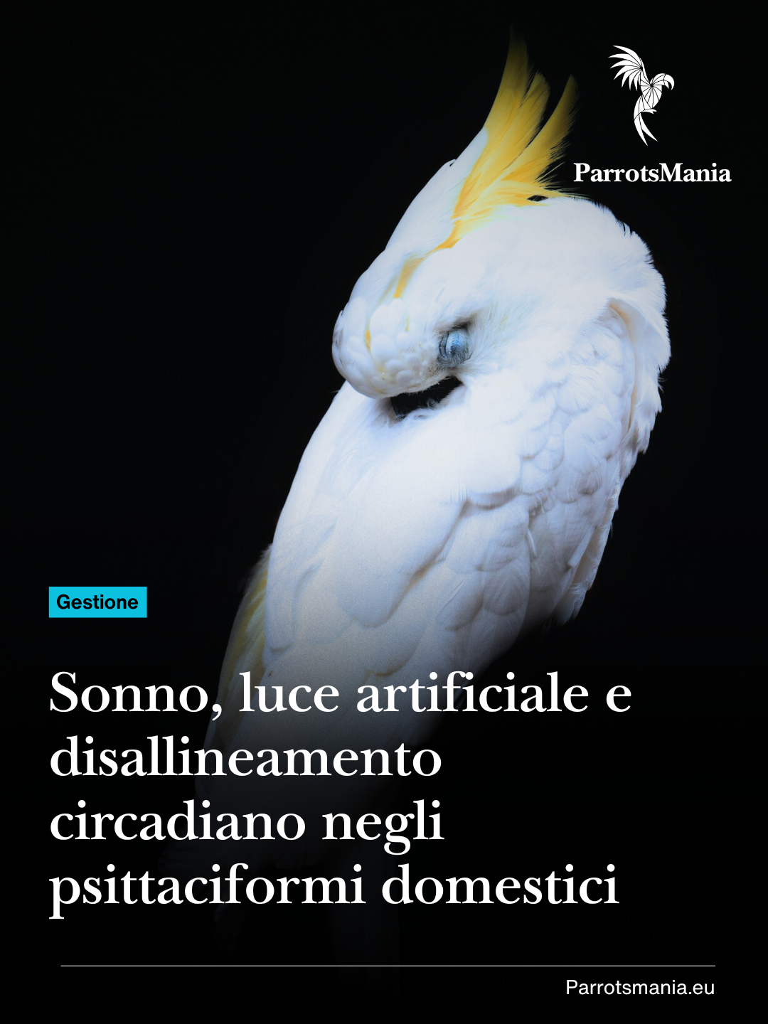Quando il pappagallo non dorme: Sonno, luce artificiale e disallineamento circadiano negli psittaciformi domestici