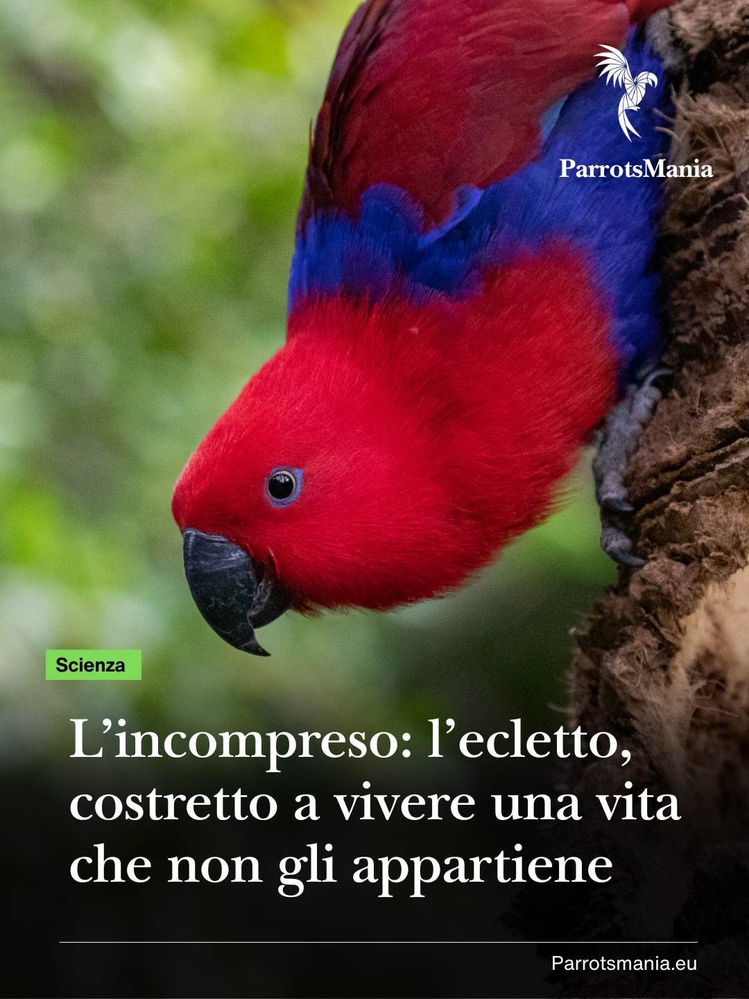 L’incompreso: l’ecletto costretto a vivere una vita che non gli appartiene