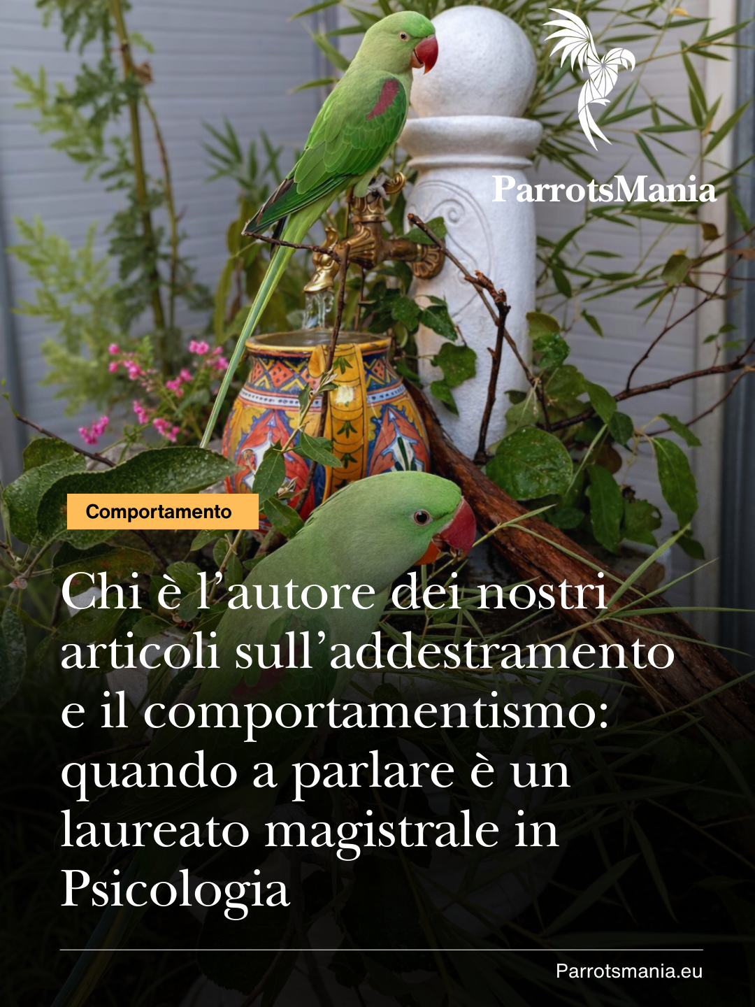 Chi è l’autore dei nostri articoli sull’addestramento e il comportamentismo: quando a parlare è un laureato magistrale in Psicologia