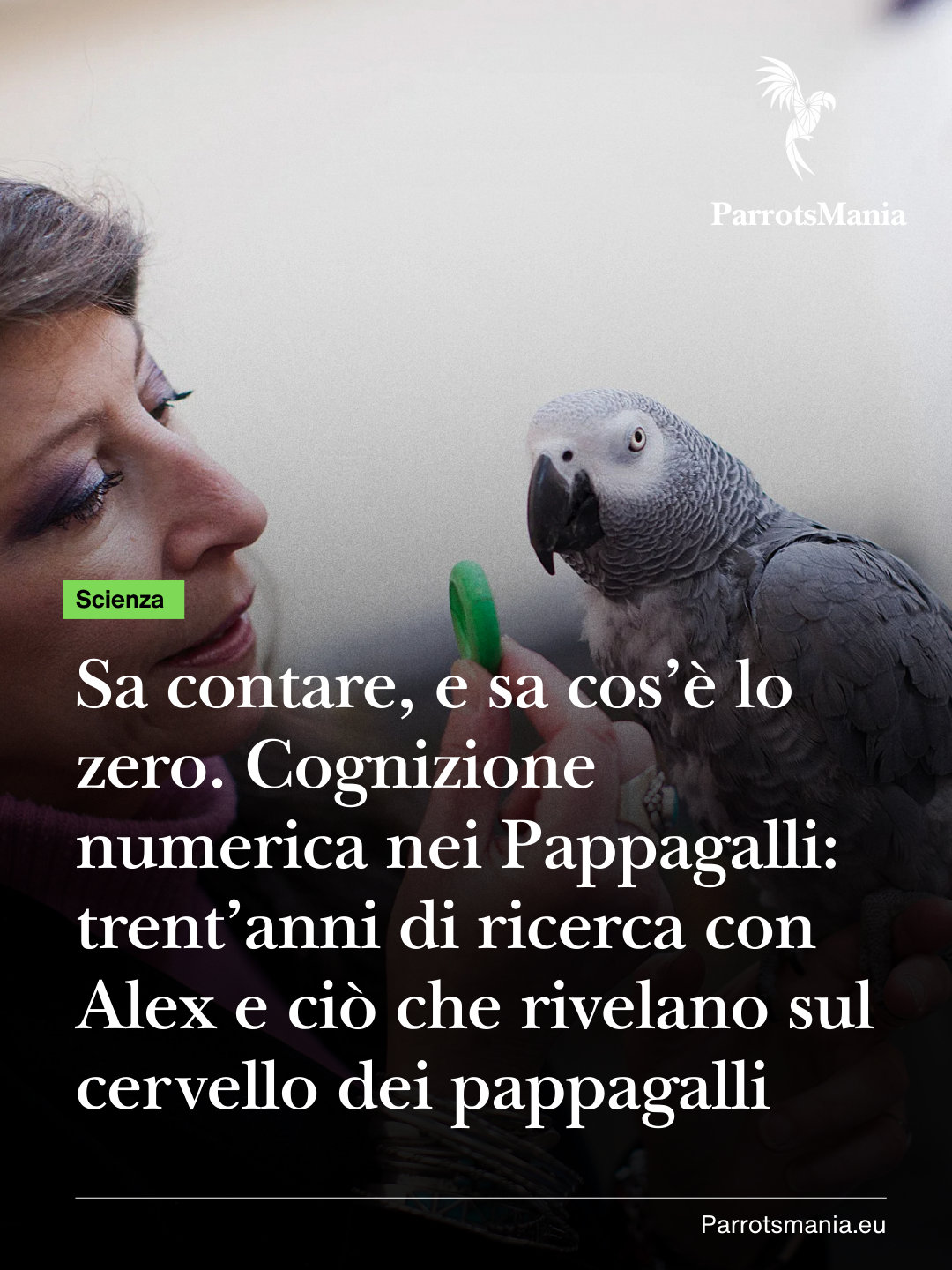 Sa contare, e sa cos’è lo zero. Cognizione numerica negli Psittaciformi: trent’anni di ricerca con Alex e ciò che rivelano sul cervello dei pappagalli