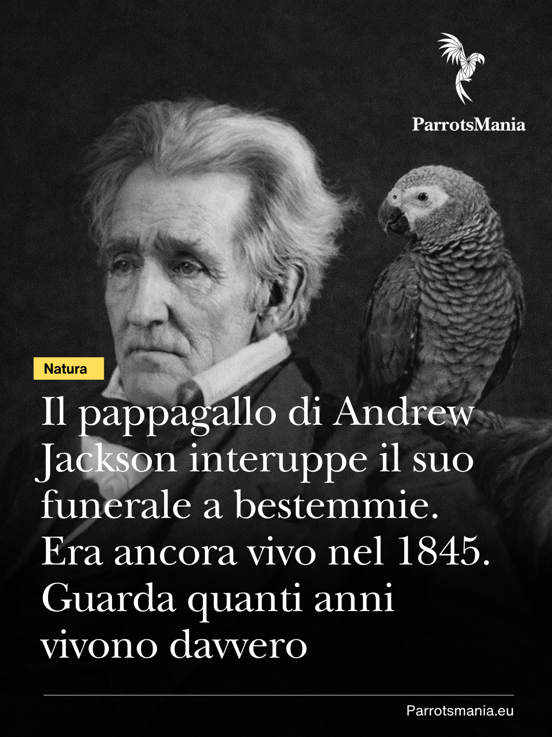 Il pappagallo di Andrew Jackson interuppe il suo funerale a bestemmie. Era ancora vivo nel 1845. Guarda quanti anni vivono davvero.