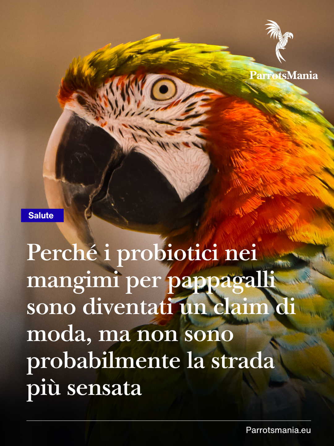 Perché i probiotici nei mangimi per pappagalli sono diventati un claim di moda, ma non sono probabilmente la strada più sensata