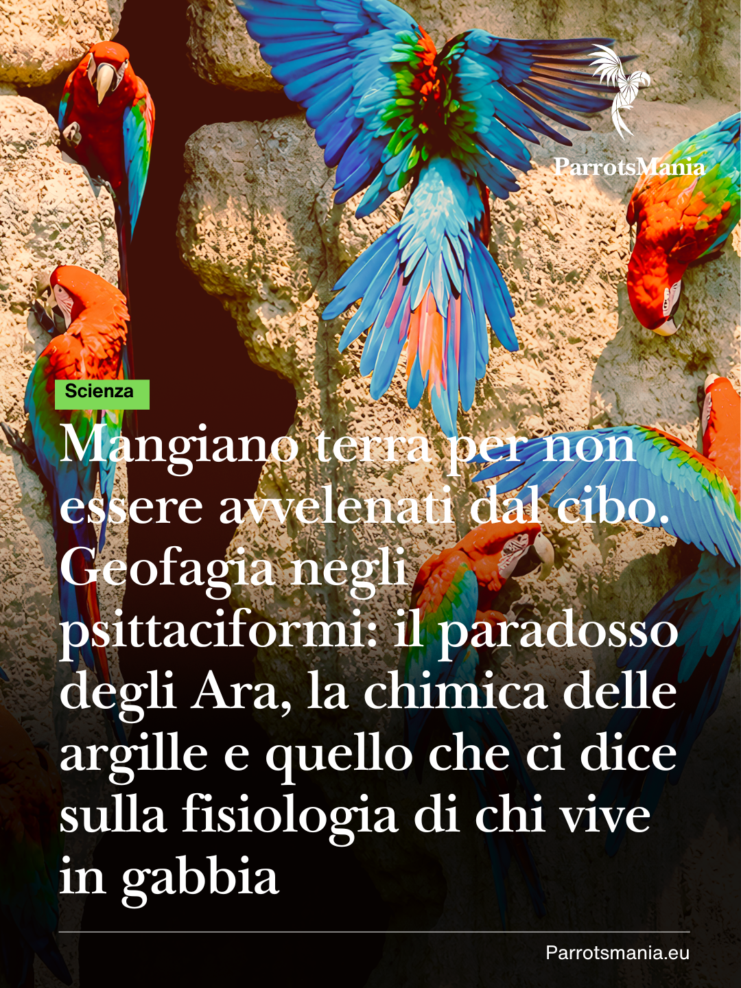 Mangiano terra per non essere avvelenati dal cibo.  Geofagia negli psittaciformi: il paradosso degli Ara, la chimica delle argille e quello che ci dice sulla fisiologia di chi vive in gabbia